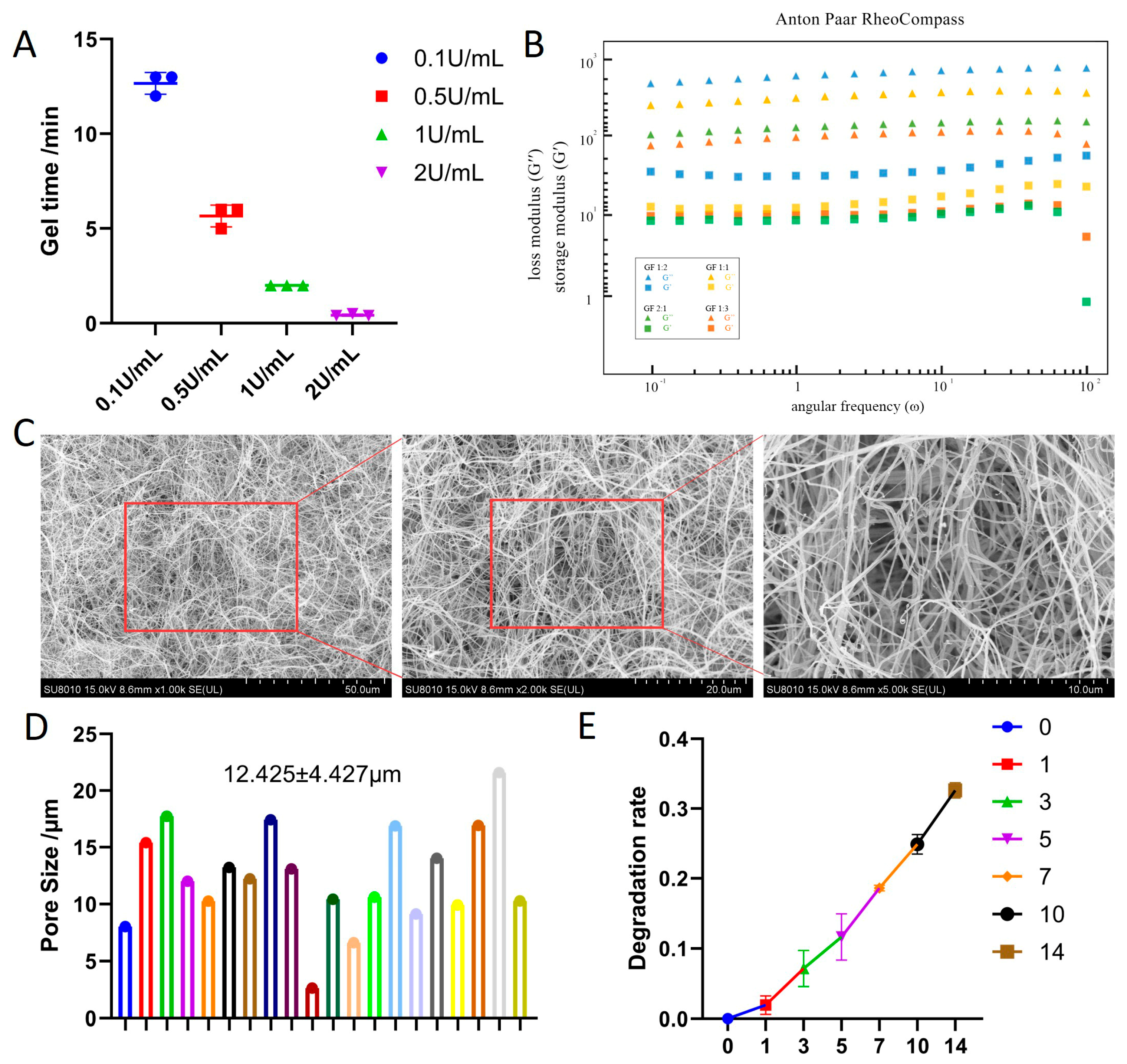 3D Fibrin/Gelatin Hydrogel System Enhances the Therapeutic Potency of ...