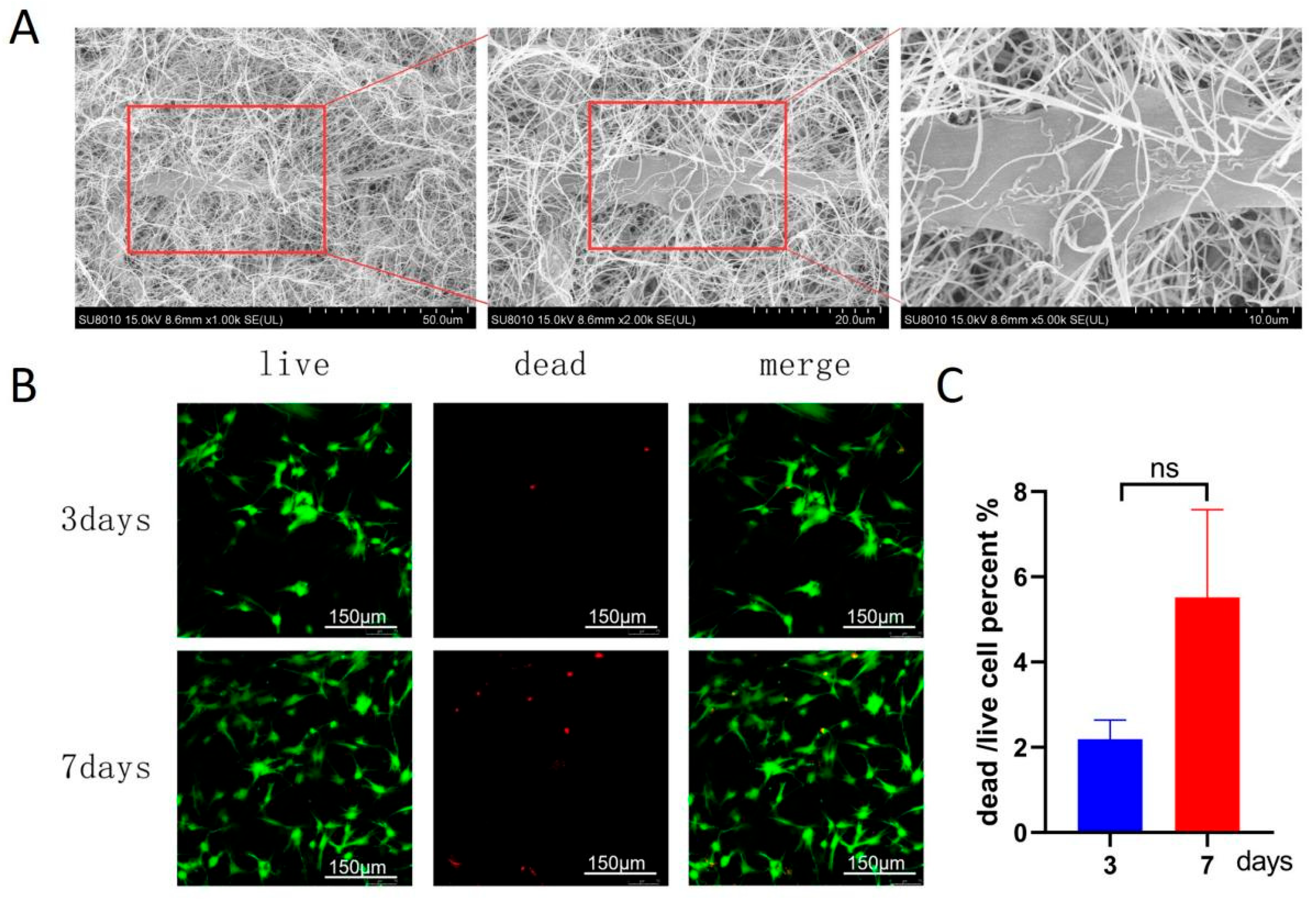 3D Fibrin/Gelatin Hydrogel System Enhances the Therapeutic Potency of ...