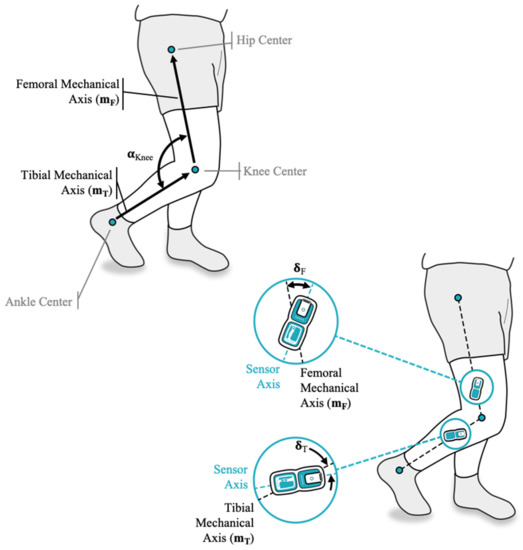Knee Flexion: Measure and Improve your Range of Motion