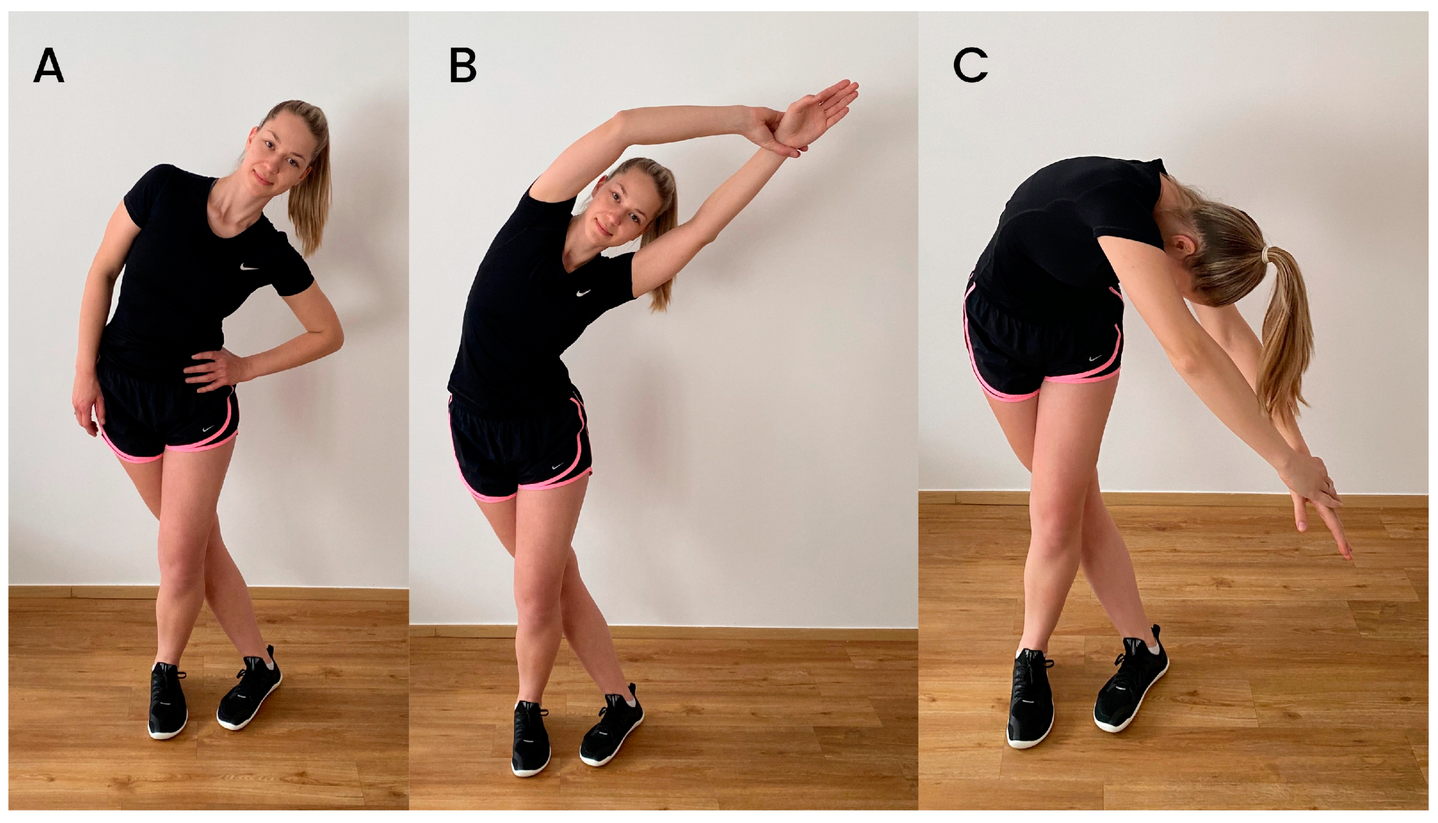 The Use of Elastic Resistance Bands to Reduce Dynamic Knee Valgus in  Squat-Based Movements: A Narrative Review