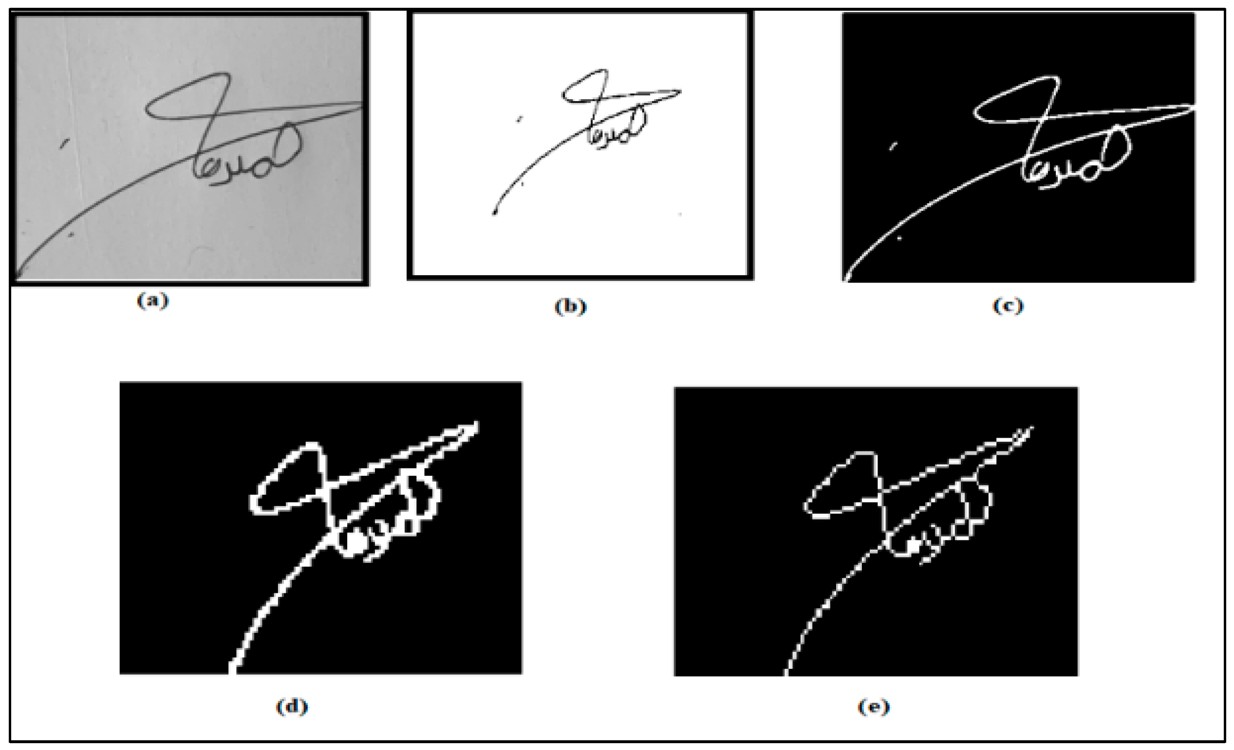 signatures samples c