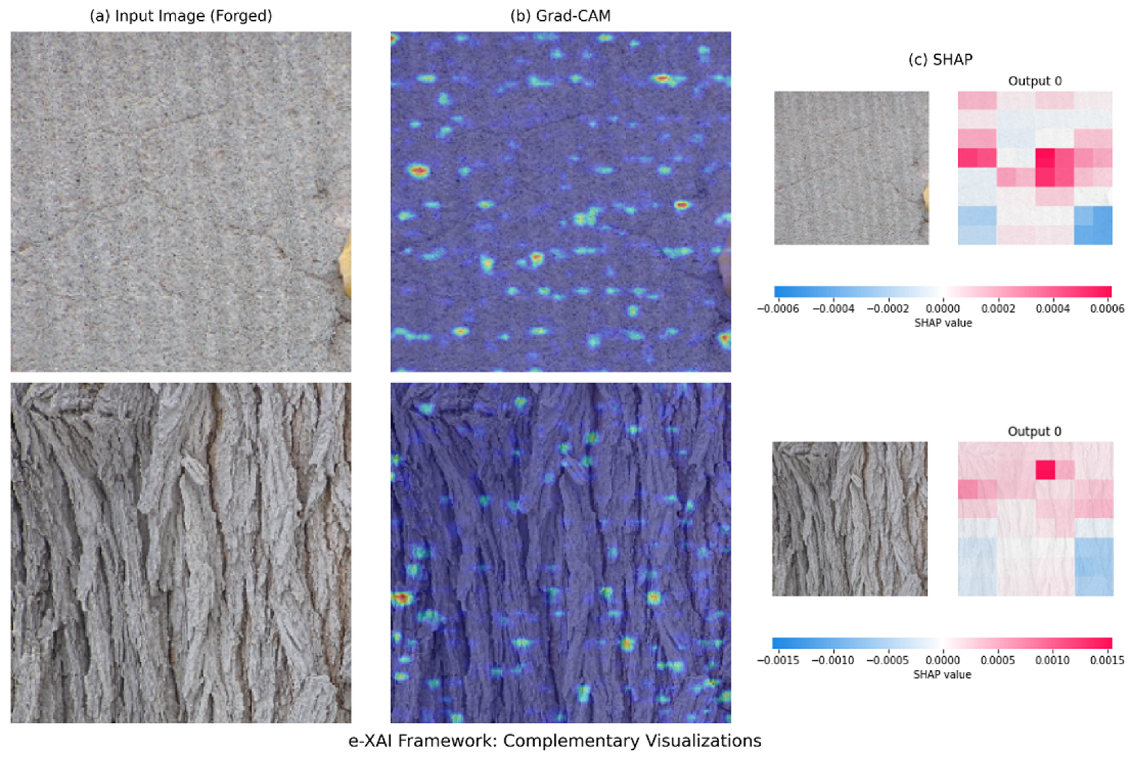 Seam Carving Forgery Detection Through Multi-Perspective Explainable AI