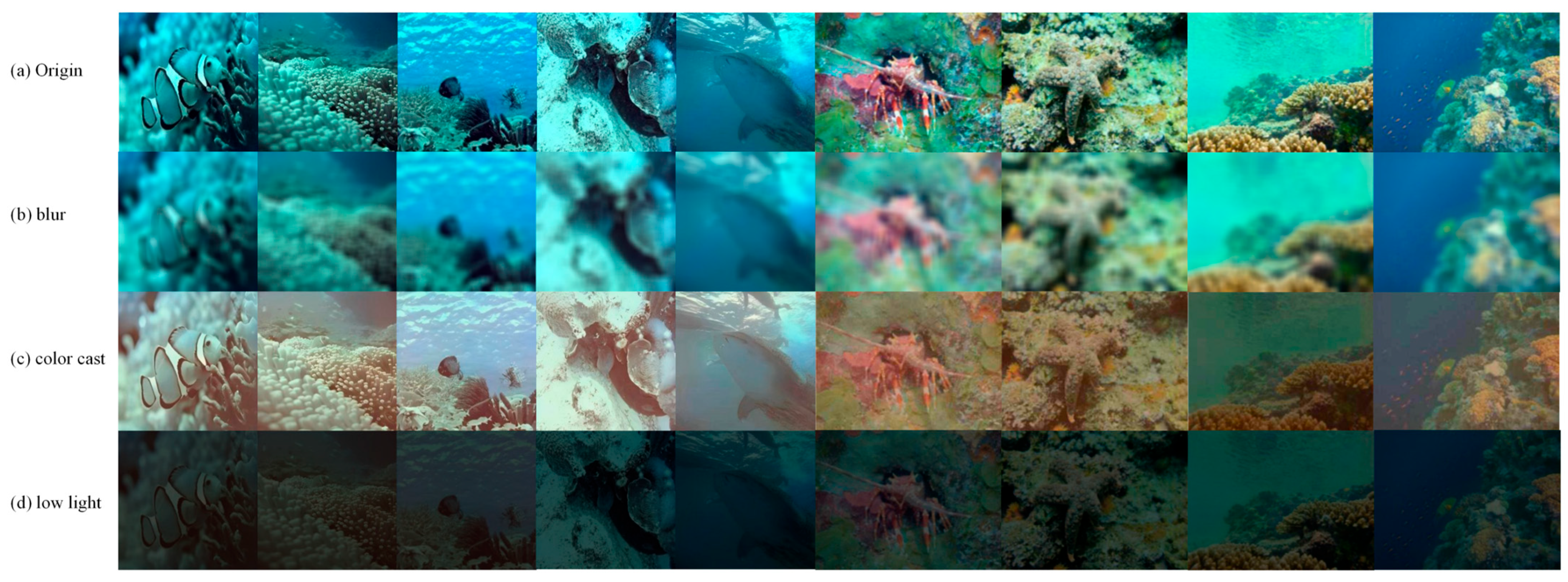 Degradation-Aware Multi-Stage Fusion for Underwater Image Enhancement