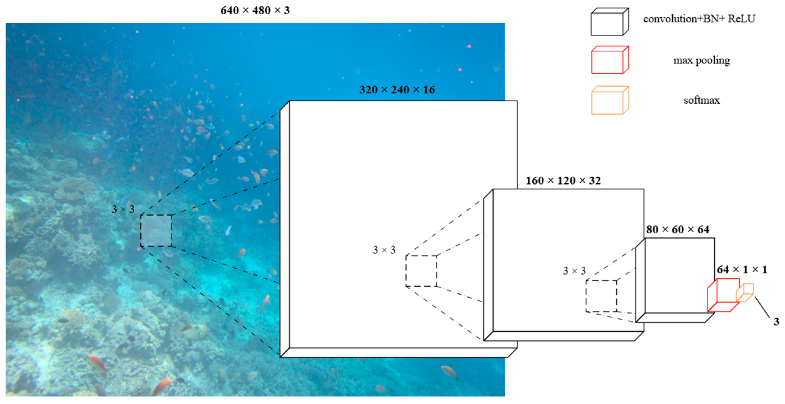 Degradation-Aware Multi-Stage Fusion for Underwater Image Enhancement