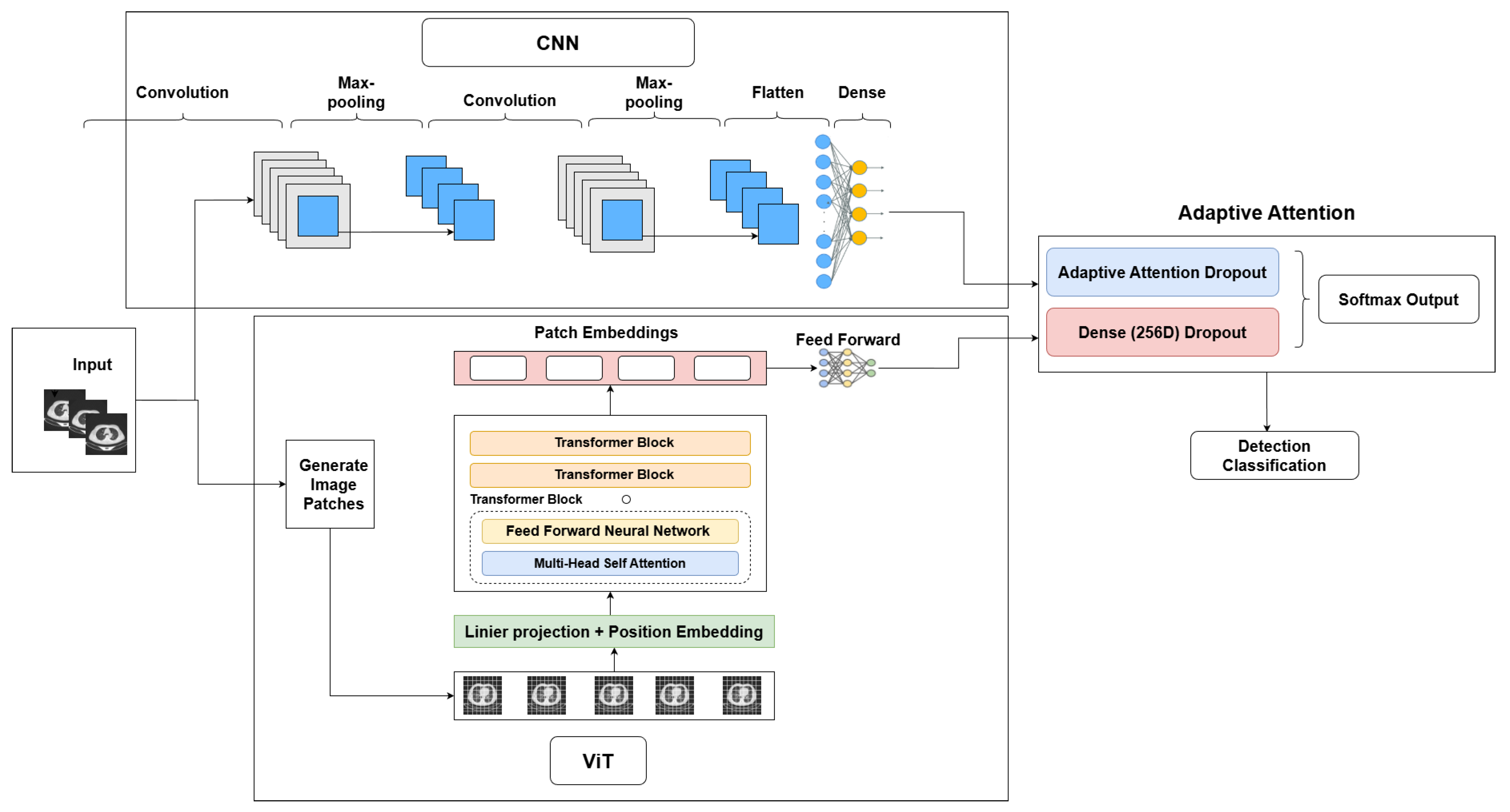 AACNN-ViT: Adaptive Attention-Augmented Convolutional and Vision ...