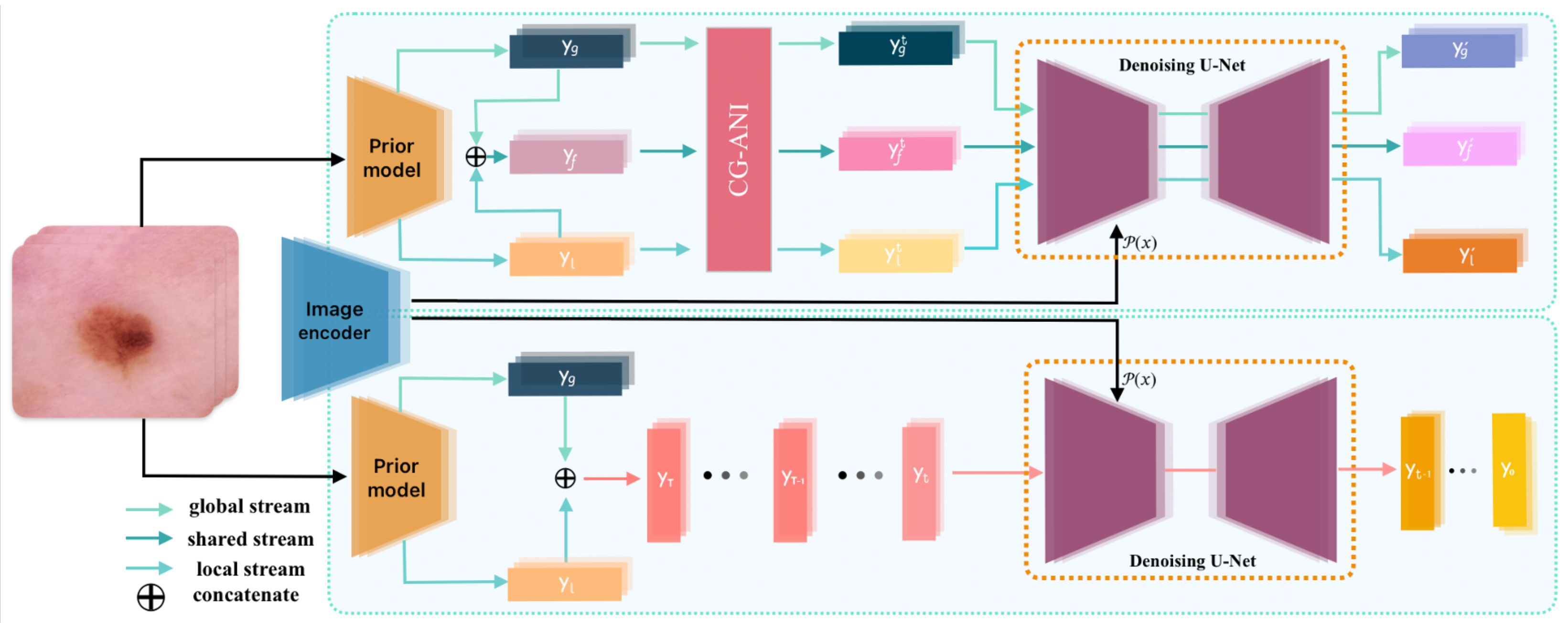 Confidence-Guided Adaptive Diffusion Network for Medical Image ...