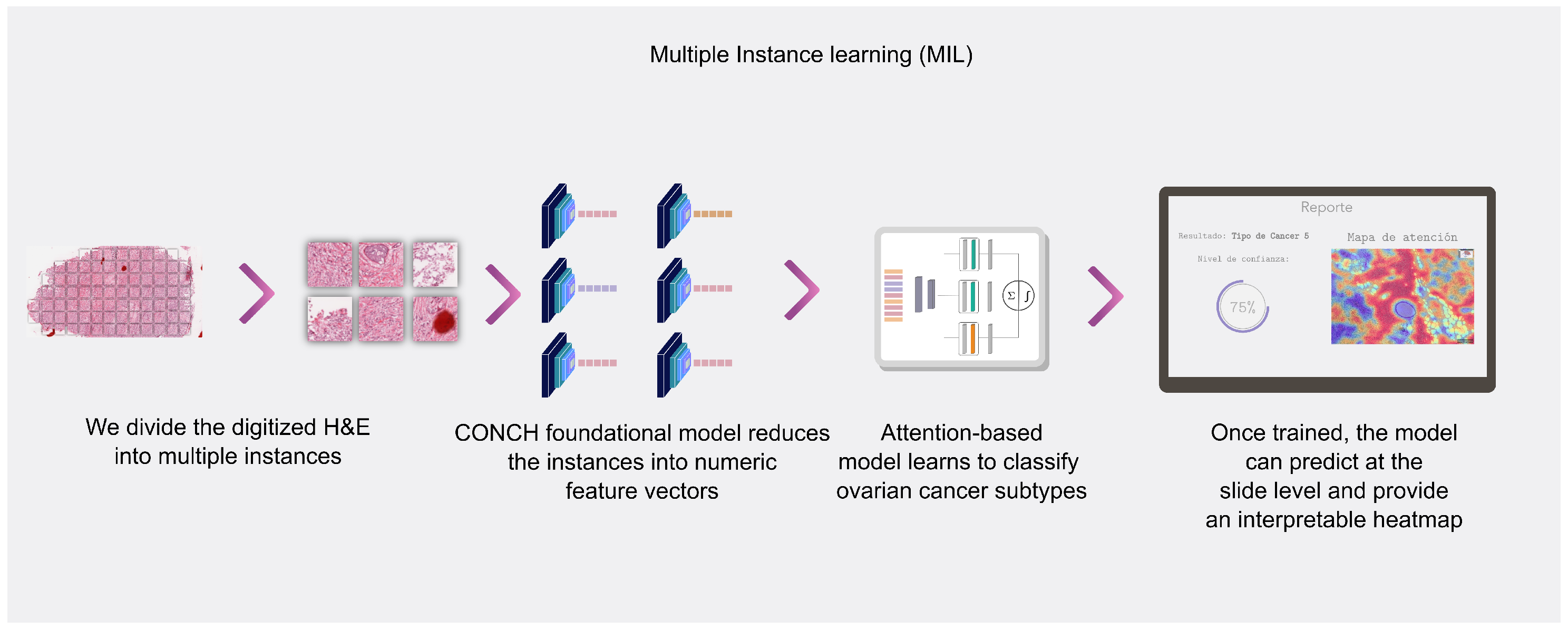 Development and Evaluation of a Deep Learning Model for Ovarian Cancer ...