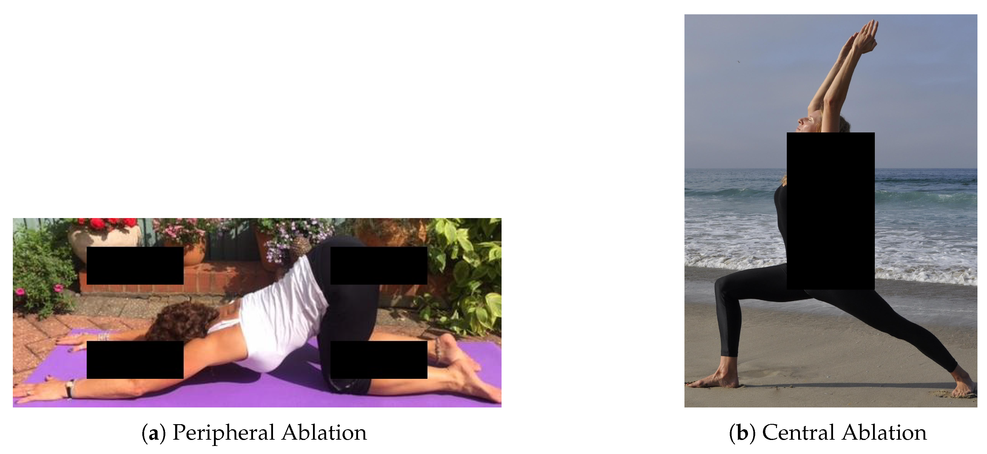 A Method for Human Pose Estimation and Joint Angle Computation Through ...