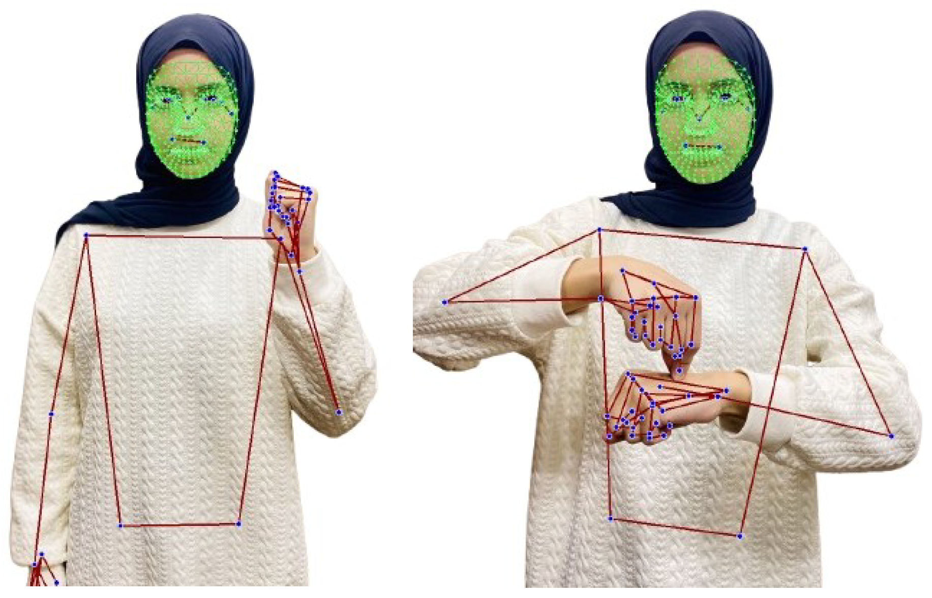 Video-Based Arabic Sign Language Recognition with Mediapipe and Deep ...