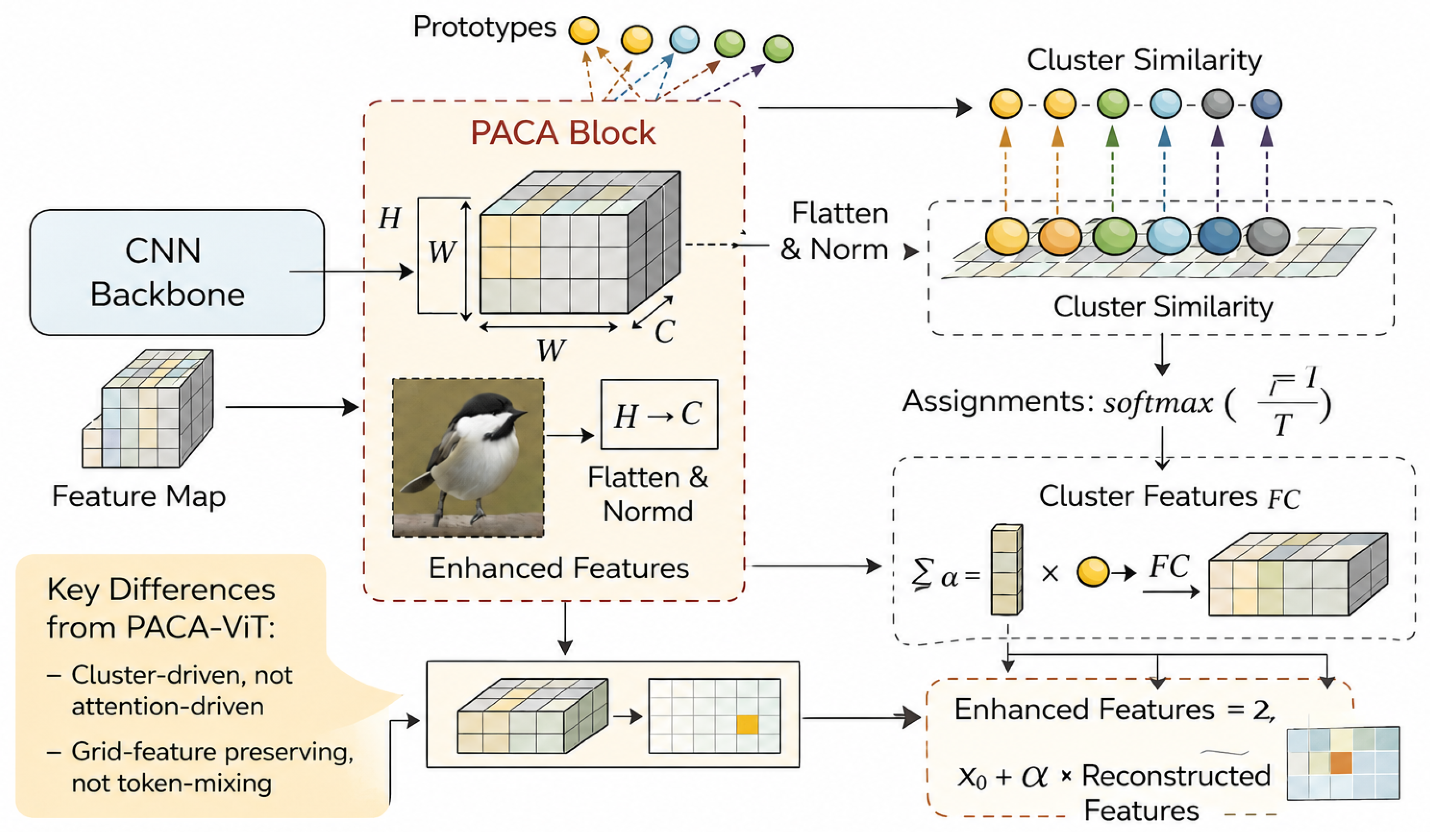 PIP-PACA: An Interpretable Image Classification Framework via Prototype ...