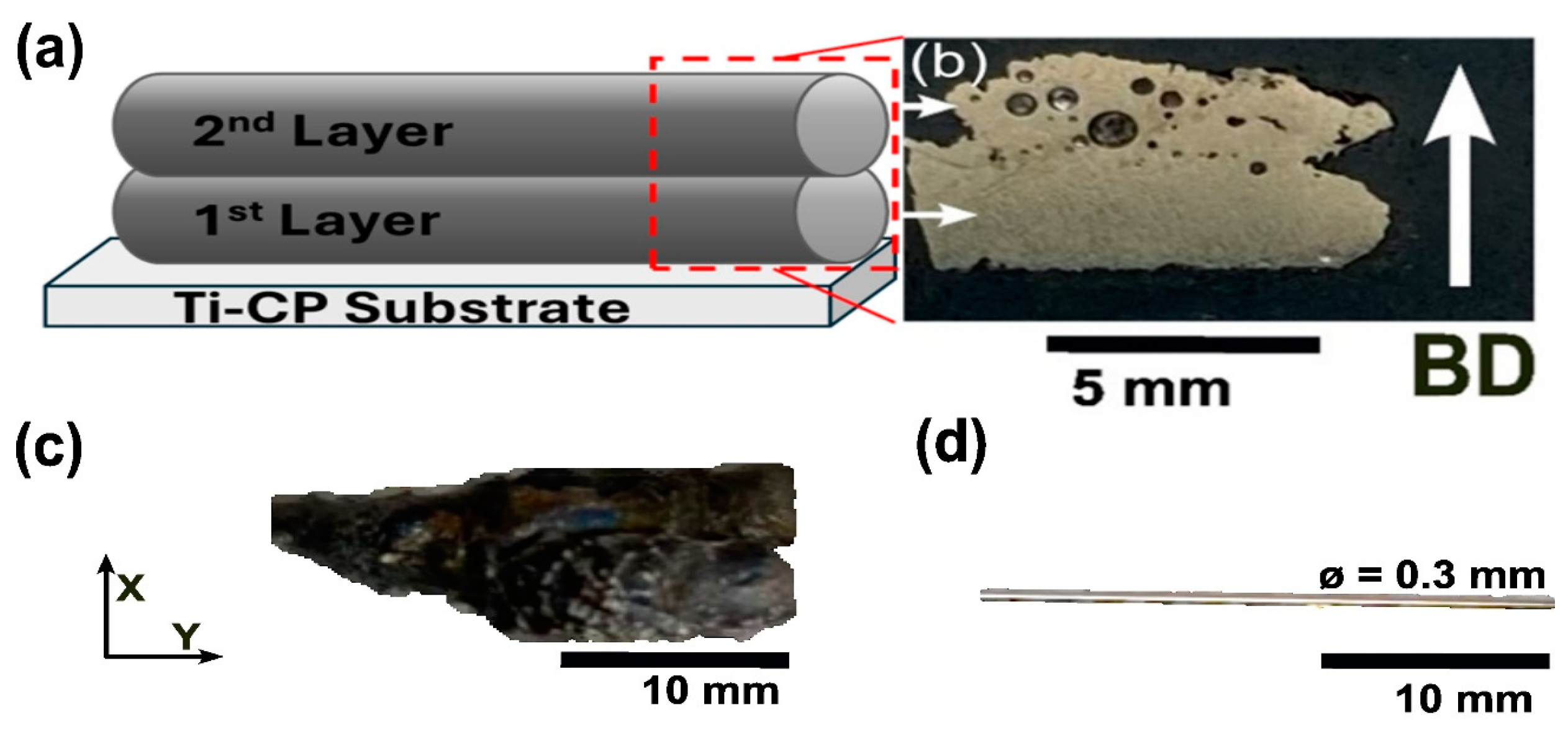 Microstructure, Thermal, and Mechanical Behavior of NiTi