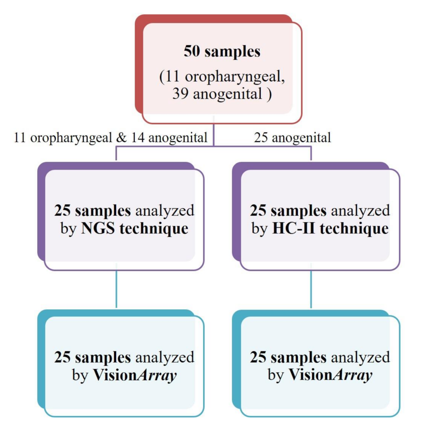 JMP Free Full-Text | Different Methods in HPV Genotyping of Anogenital and Oropharyngeal Lesions: Comparison VisionArray® Technology, Generation Sequencing, and Hybrid Capture Assay