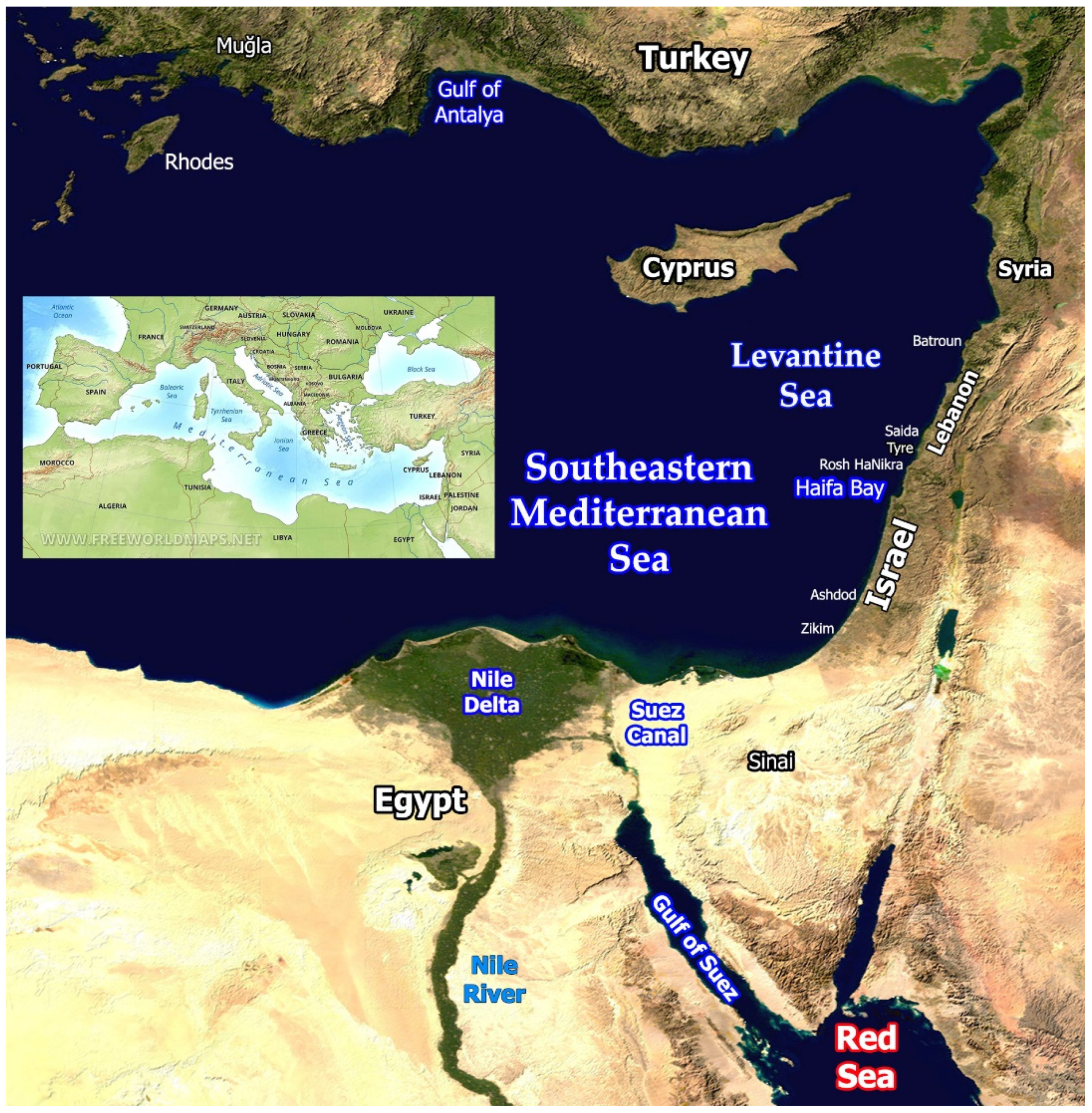 Use the map below to identify the labeled locations. Israel Beirut Turkey  Red Sea Mediterranean Sea​ 