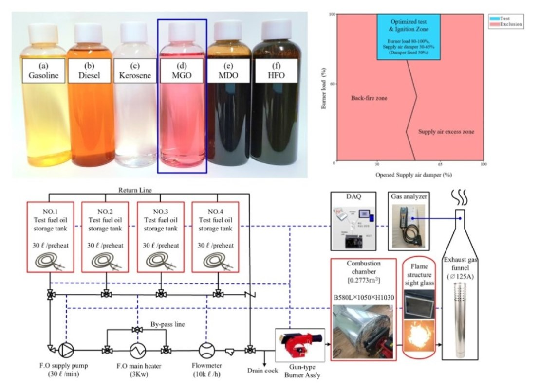 Bacteria in marine diesel fuel oil
