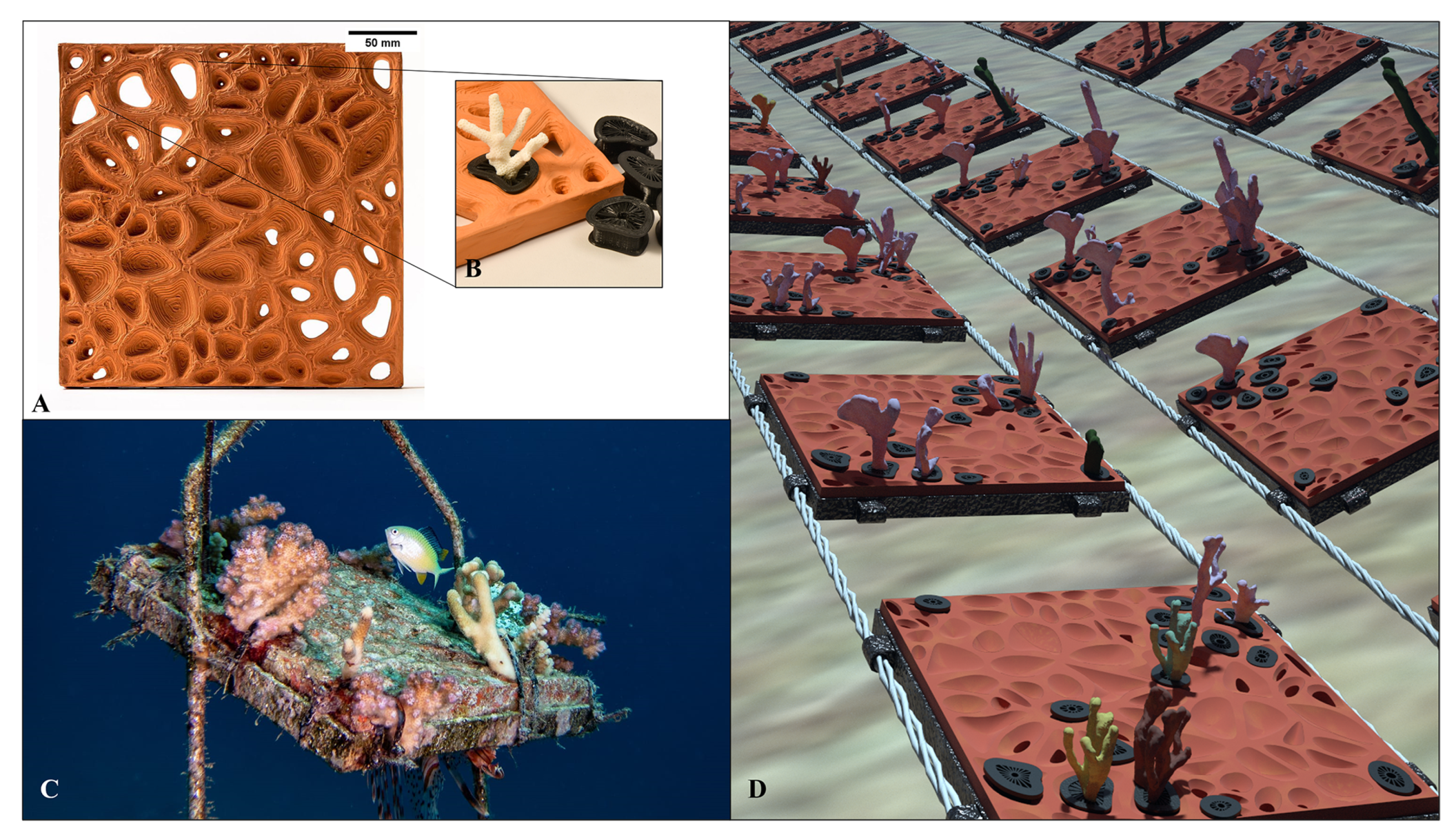 Design and application of a novel 3D printing method for bio-inspired  artificial reefs - ScienceDirect
