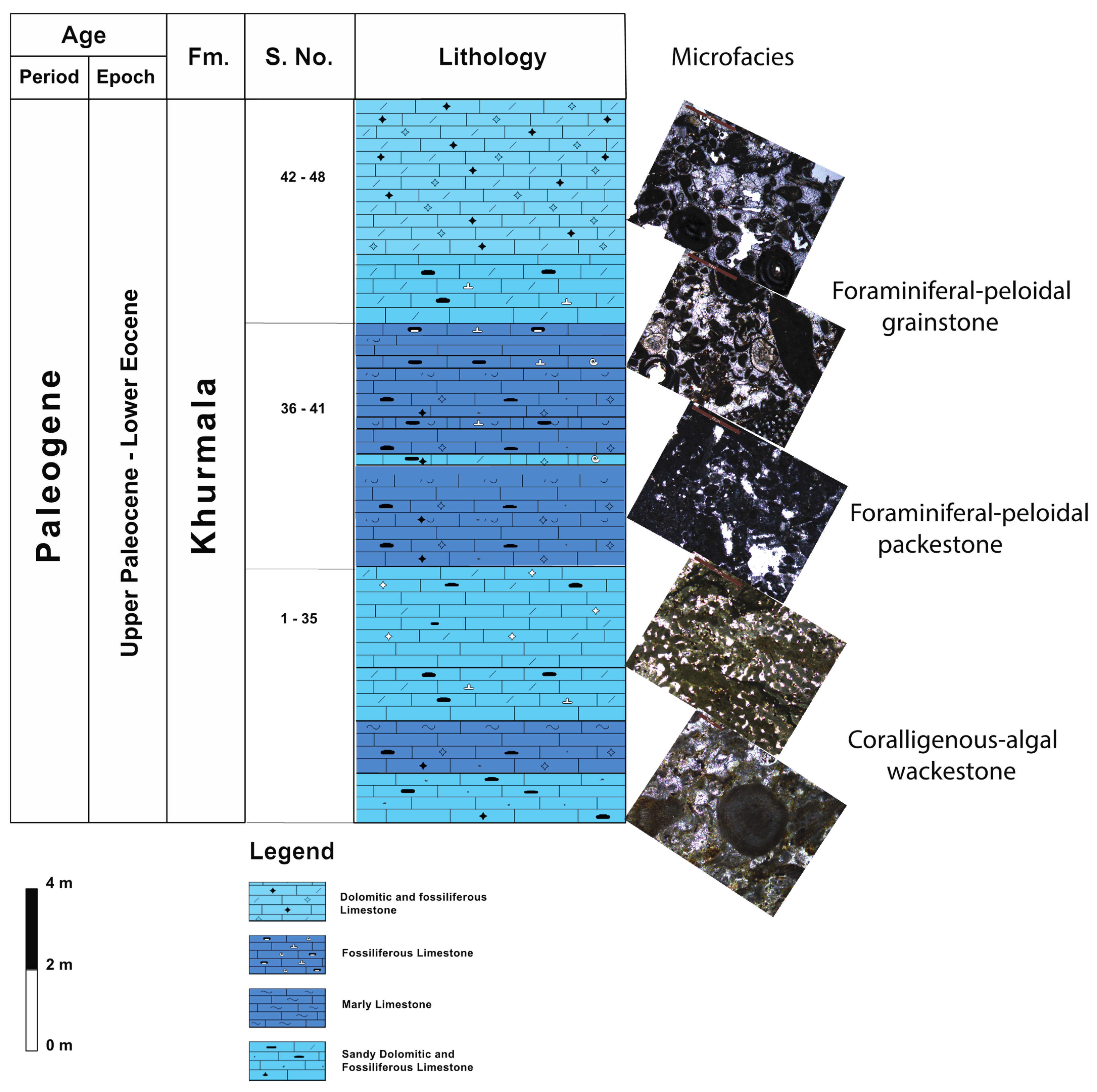 Facies associations and sequence stratigraphy of the Middle-Late Eocene Pila  Spi Formation in the High Folded Zone, Kurdistan Region, northeastern Iraq