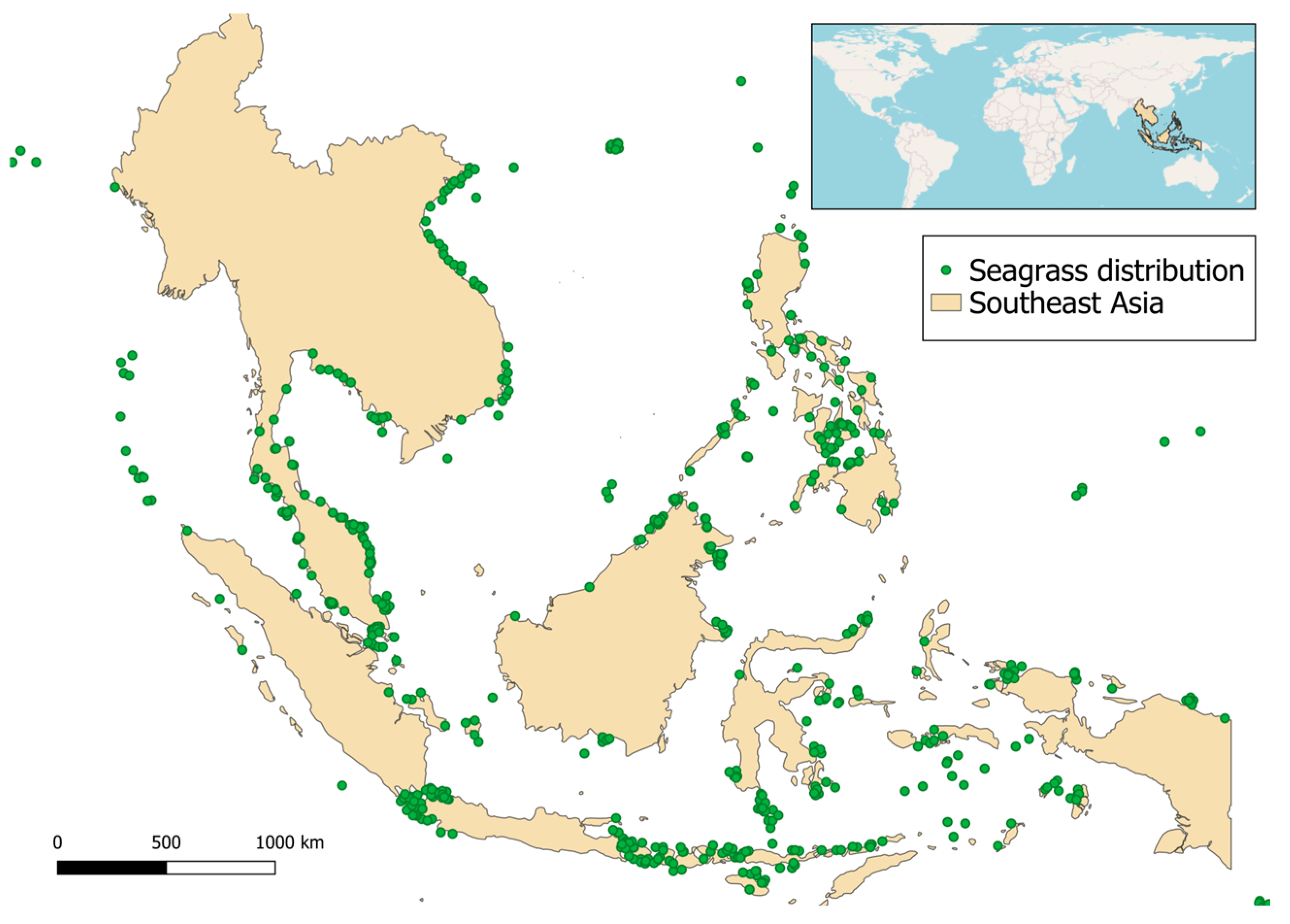 Impacts Of Marine Plastic Pollution On Seagrass Meadows And Ecosystem Services In Southeast Asia