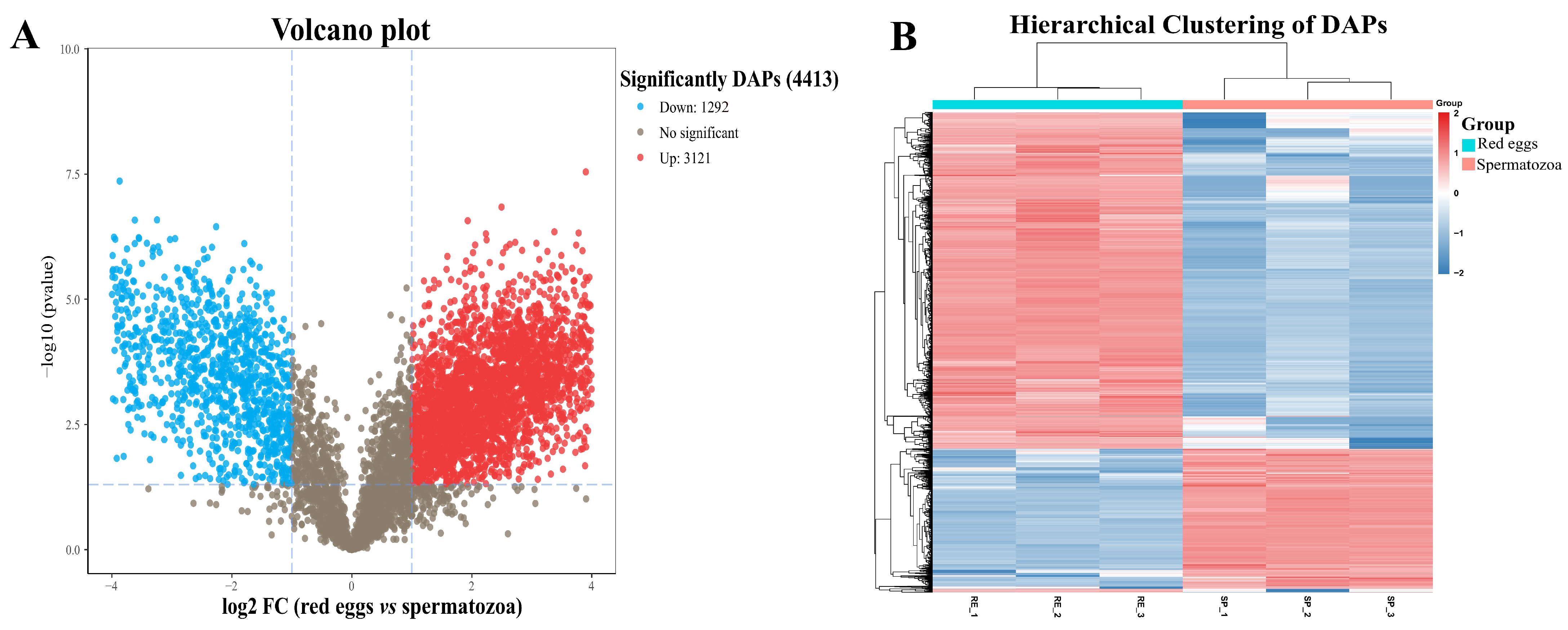 Data Independent Acquisition Based Quantitative Proteomics Analysis Of