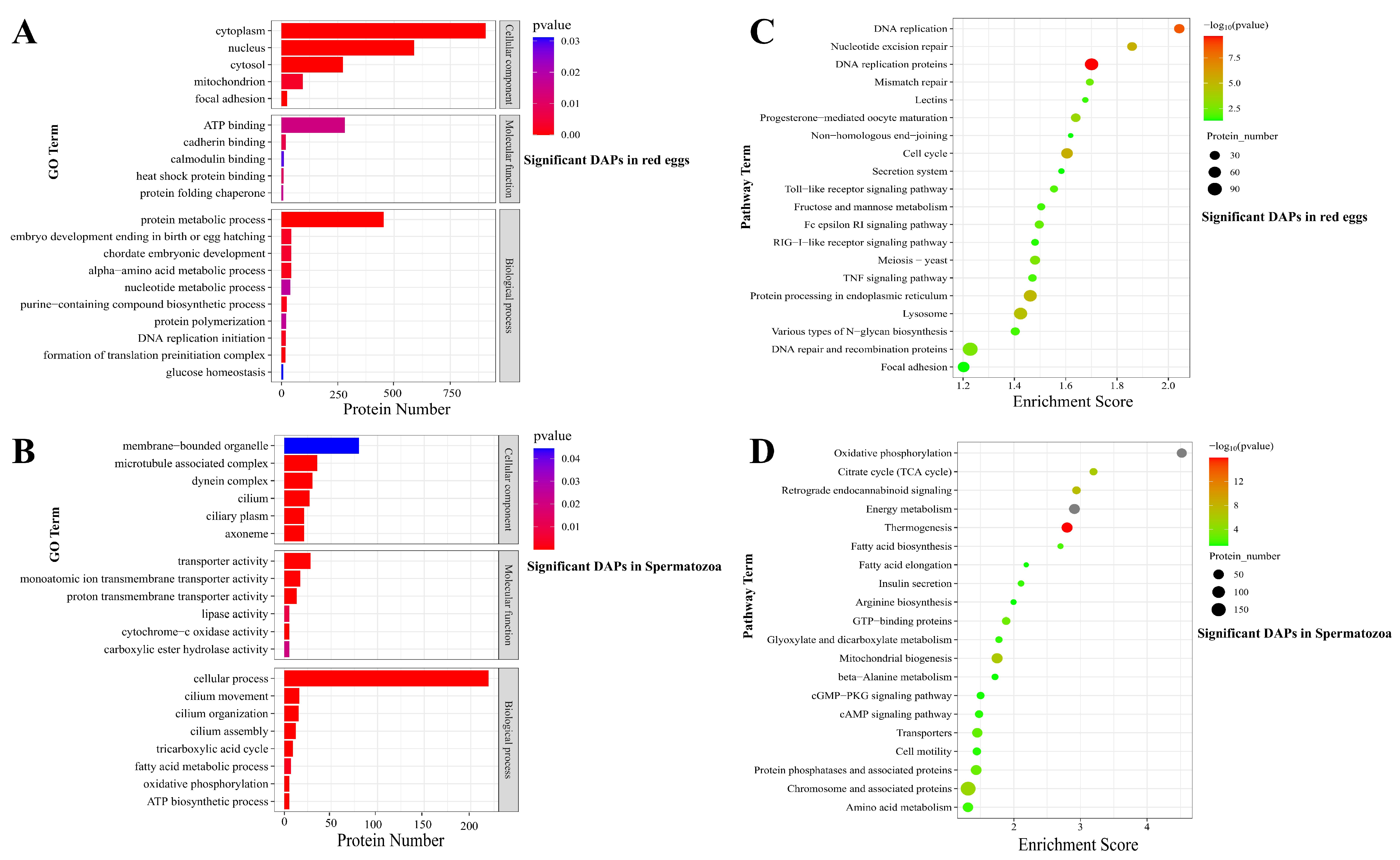 Data Independent Acquisition Based Quantitative Proteomics Analysis Of