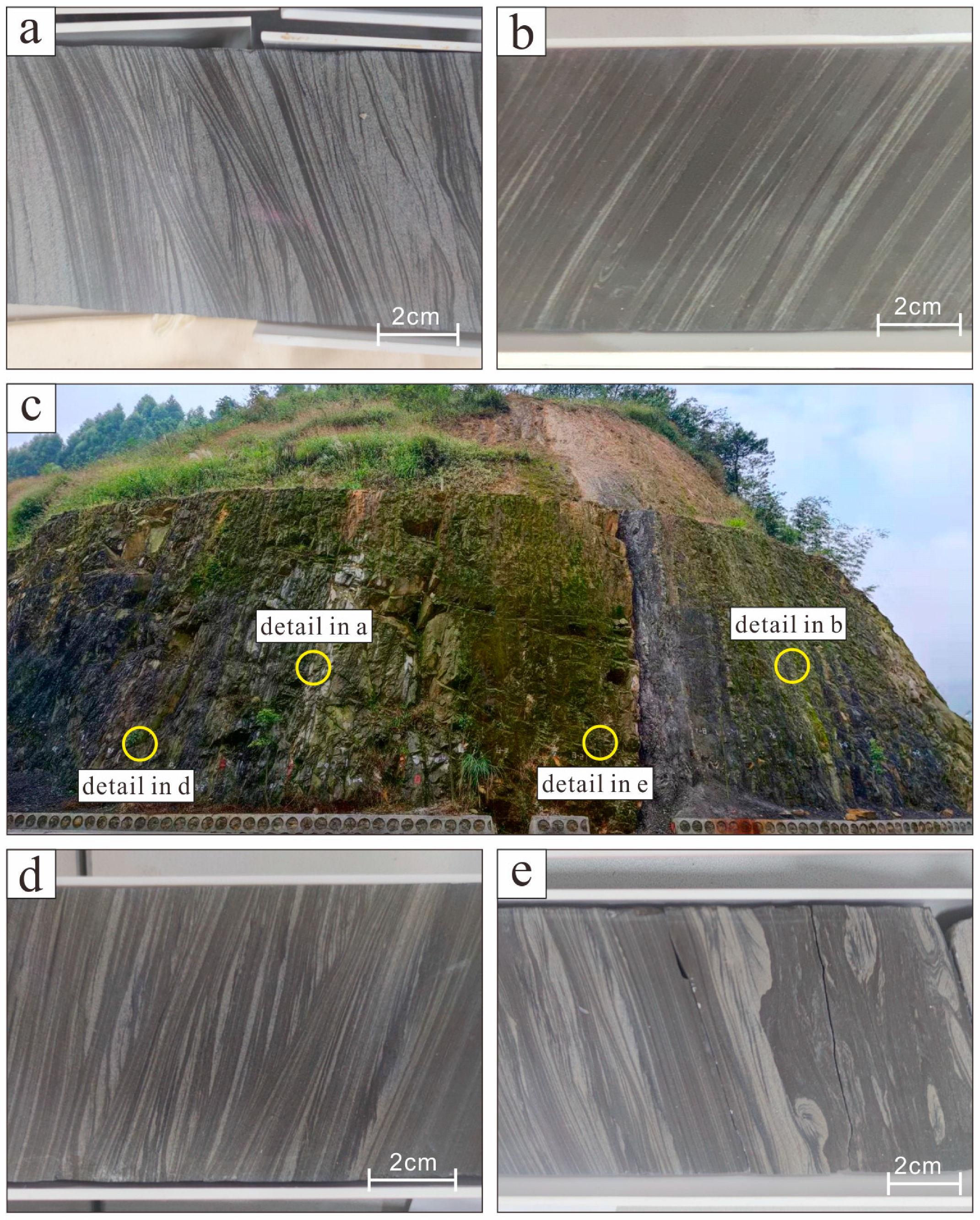 The Sedimentary Record of Marine–Continental Transitional