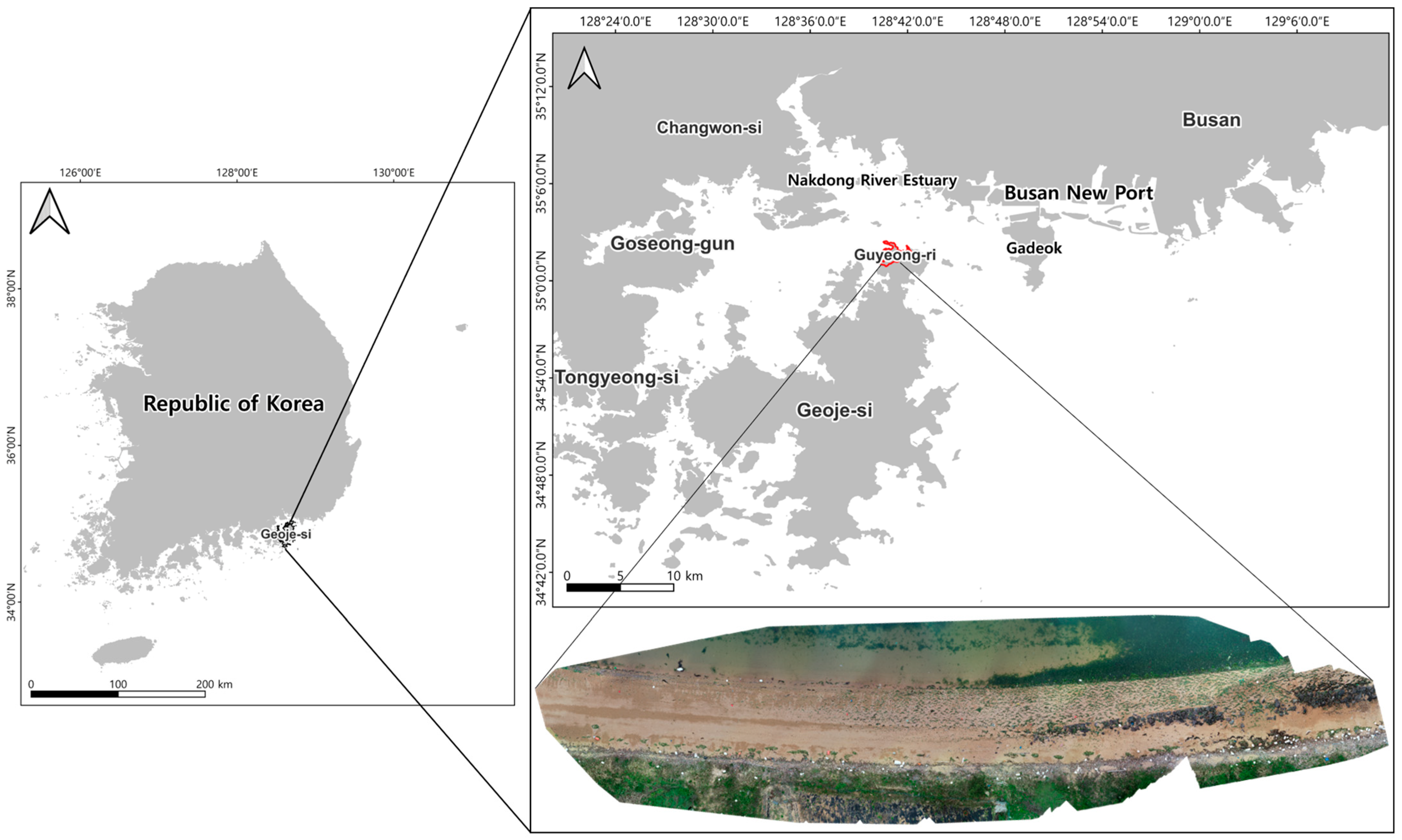 False Positive Patterns in UAV-Based Deep Learning Models for Coastal ...