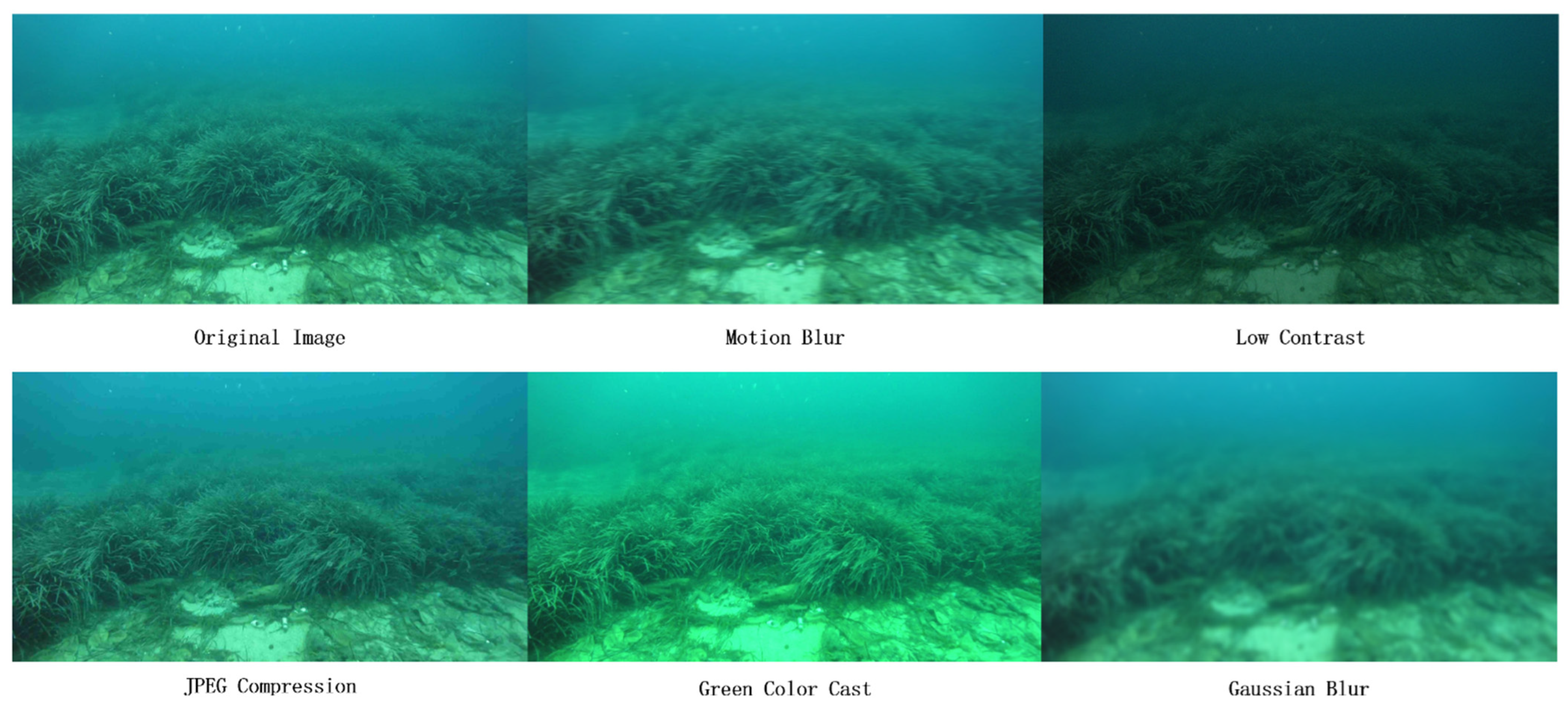 Dual-Modal Vision–Sonar Object Detection for Underwater Robots Based on ...