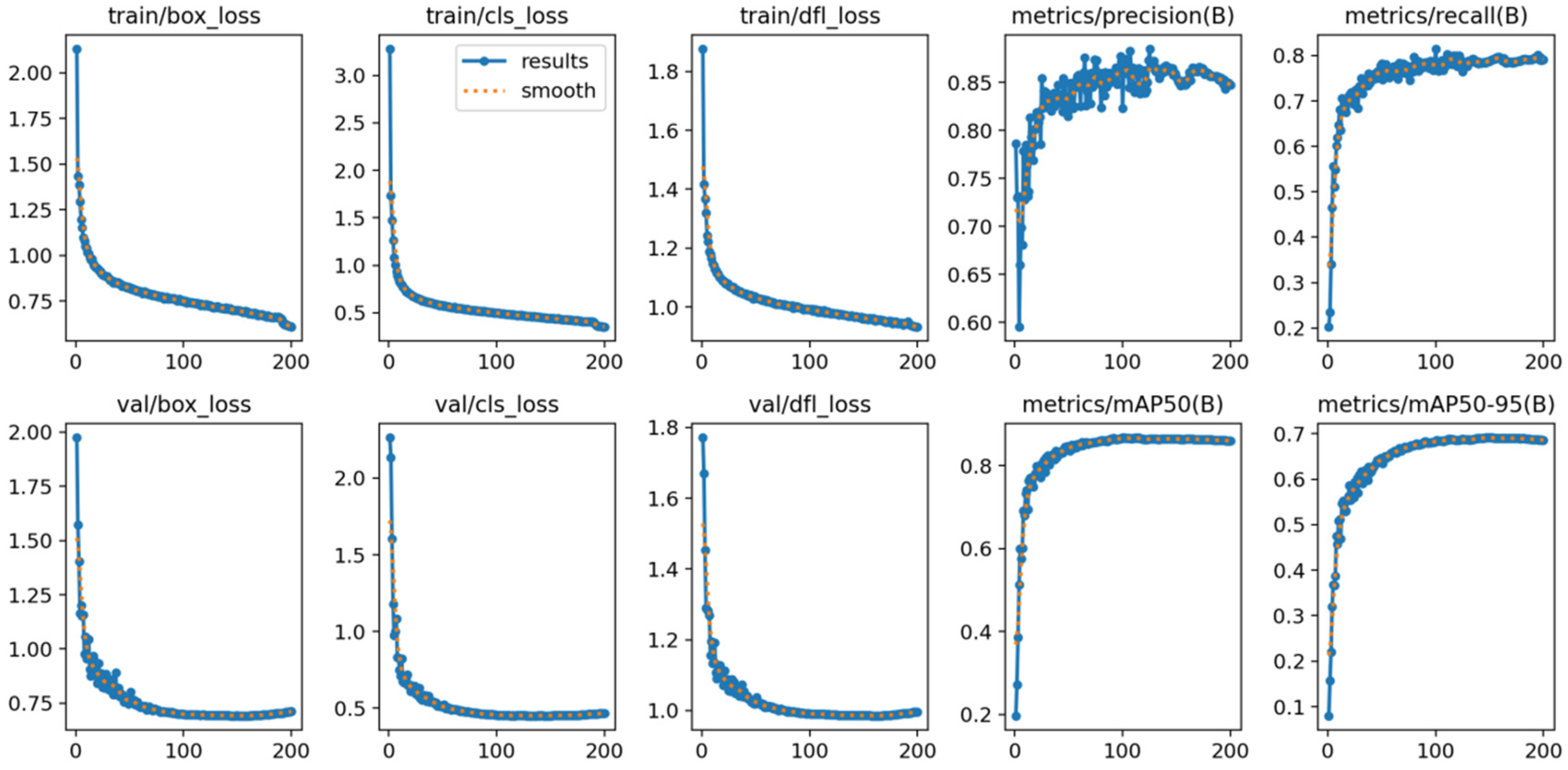 MIP-YOLO11: An Underwater Object Detection Model Based on Improved YOLO11