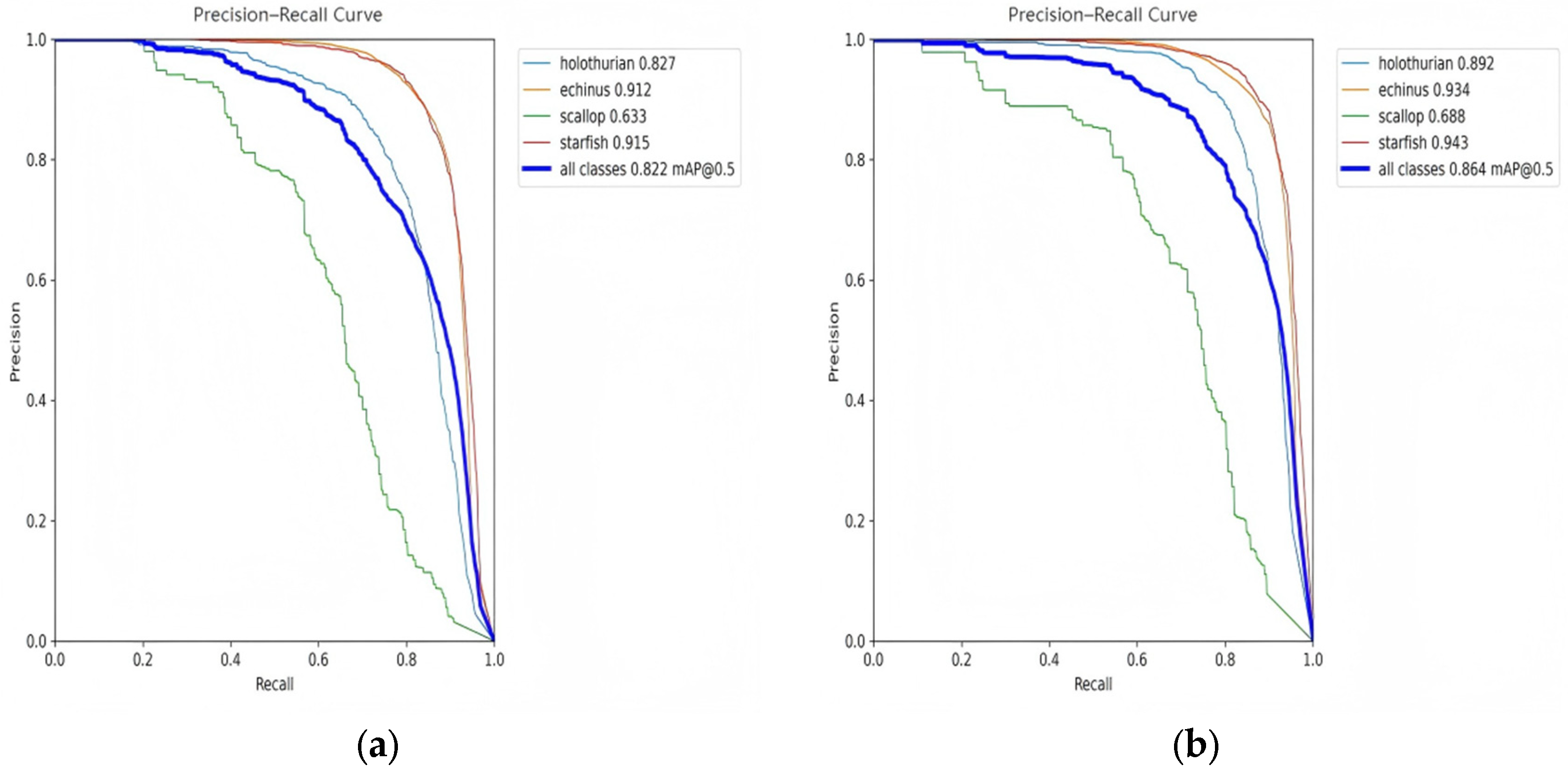 MIP-YOLO11: An Underwater Object Detection Model Based on Improved YOLO11