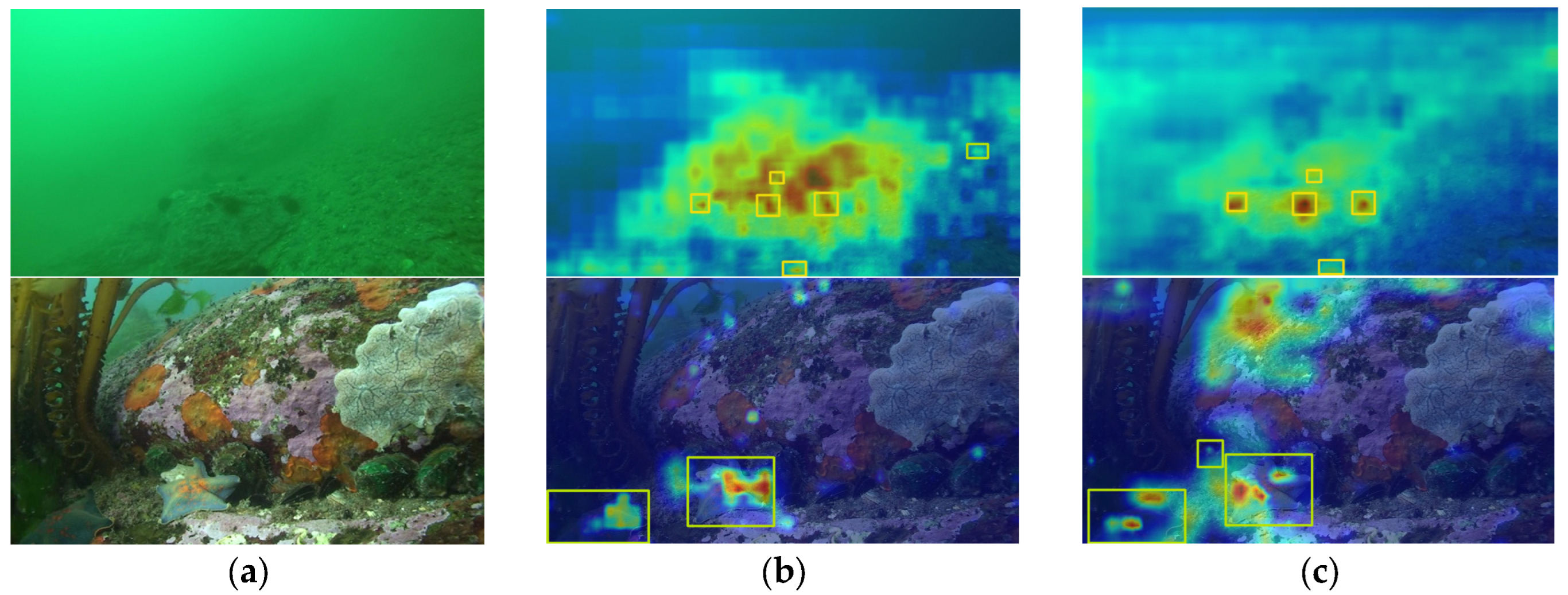 MIP-YOLO11: An Underwater Object Detection Model Based on Improved YOLO11