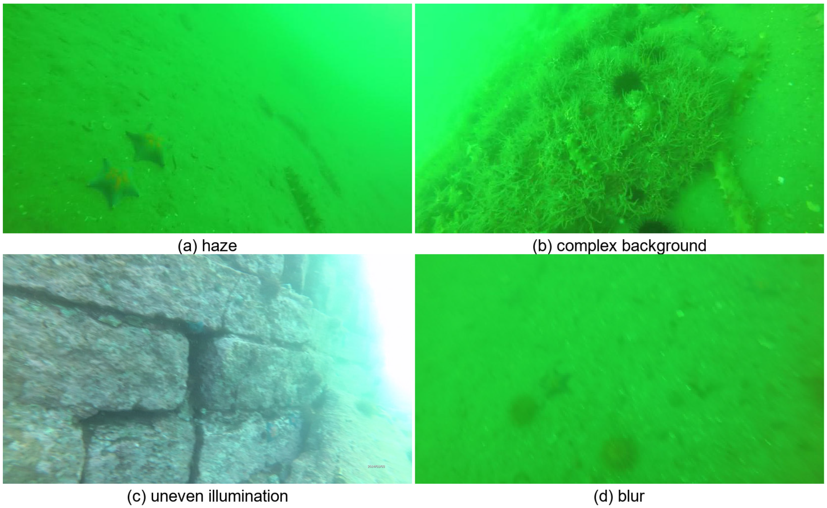 FEAPN: Feature Enhancement and Alignment Pyramid Network for Underwater ...
