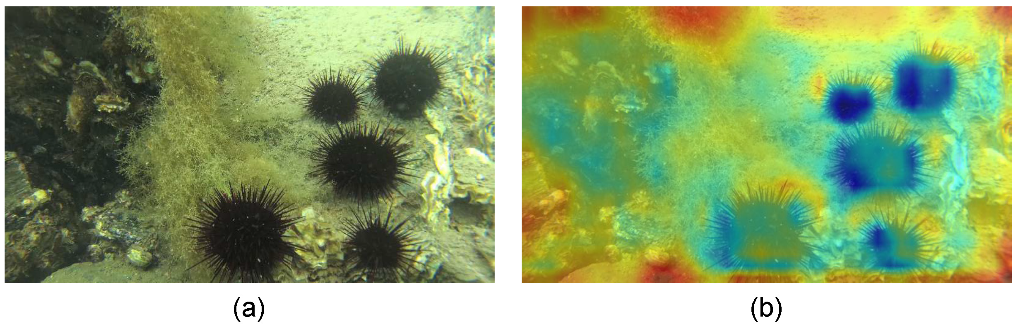 FEAPN: Feature Enhancement and Alignment Pyramid Network for Underwater ...