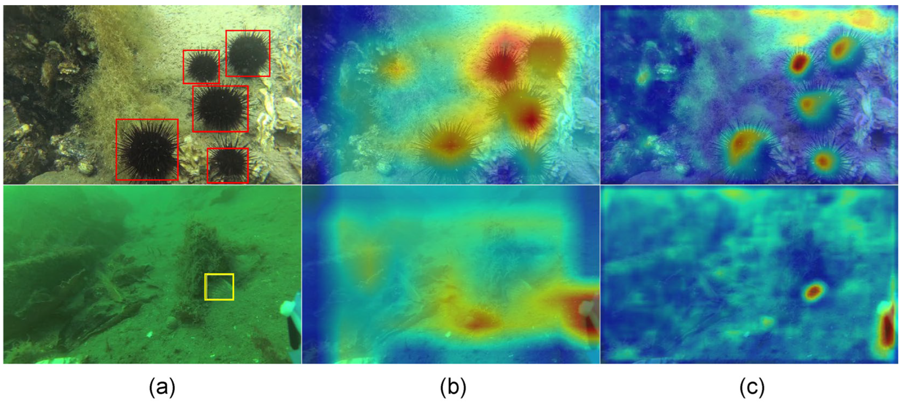 FEAPN: Feature Enhancement and Alignment Pyramid Network for Underwater ...