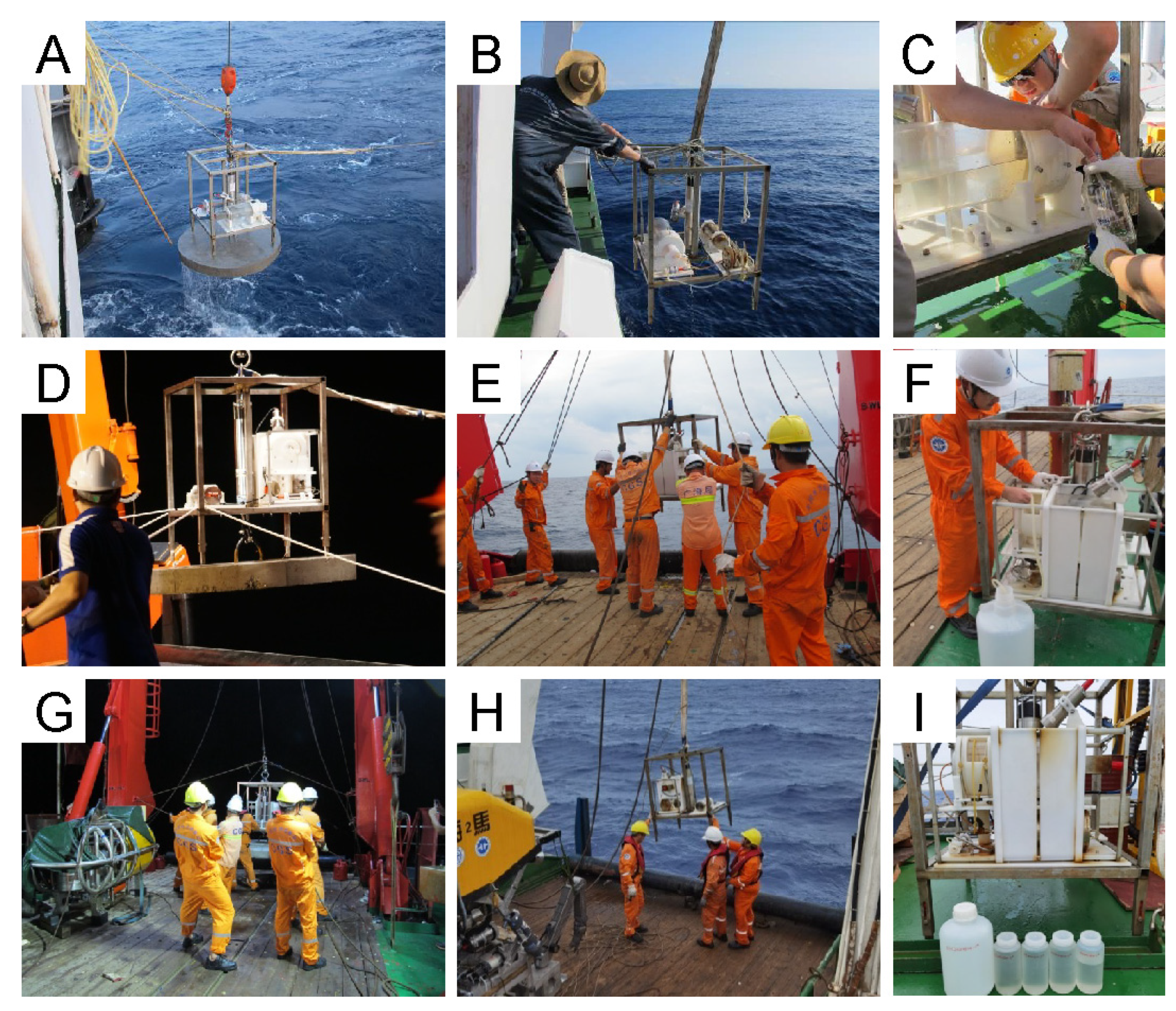 A Deep-Sea In Situ Cultivation System: Design and Field Deployment