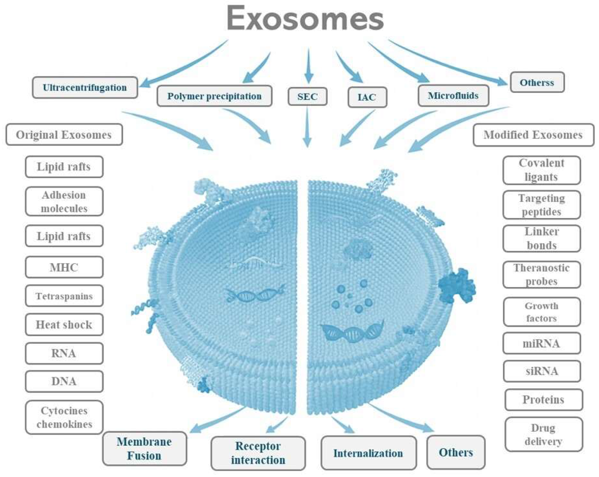 A Comprehensive Review of Engineered Bone Marrow Mesenchymal Stem Cell ...