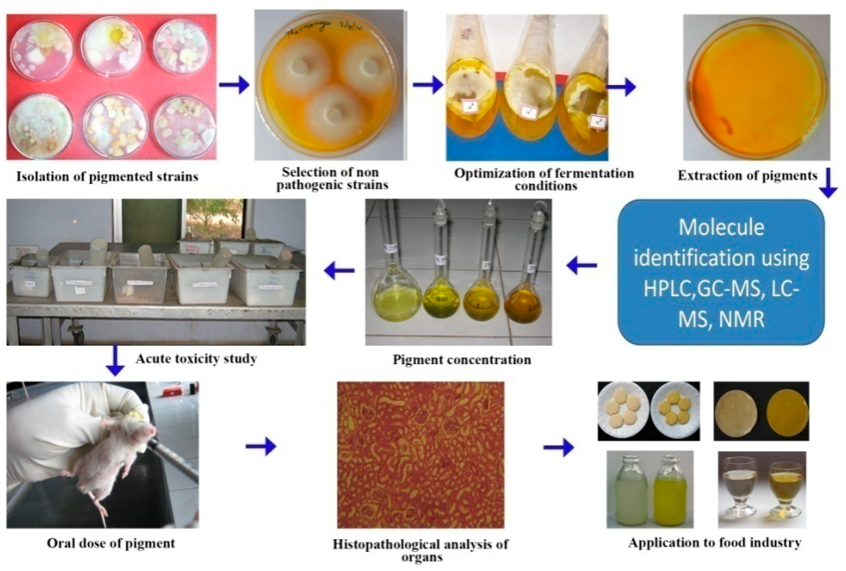 JoF | Free Full-Text | Safety Evaluation of Fungal Pigments for Food ...