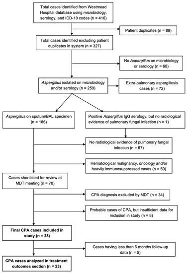 JoF | Free Full-Text | Chronic Pulmonary Aspergillosis: Burden ...