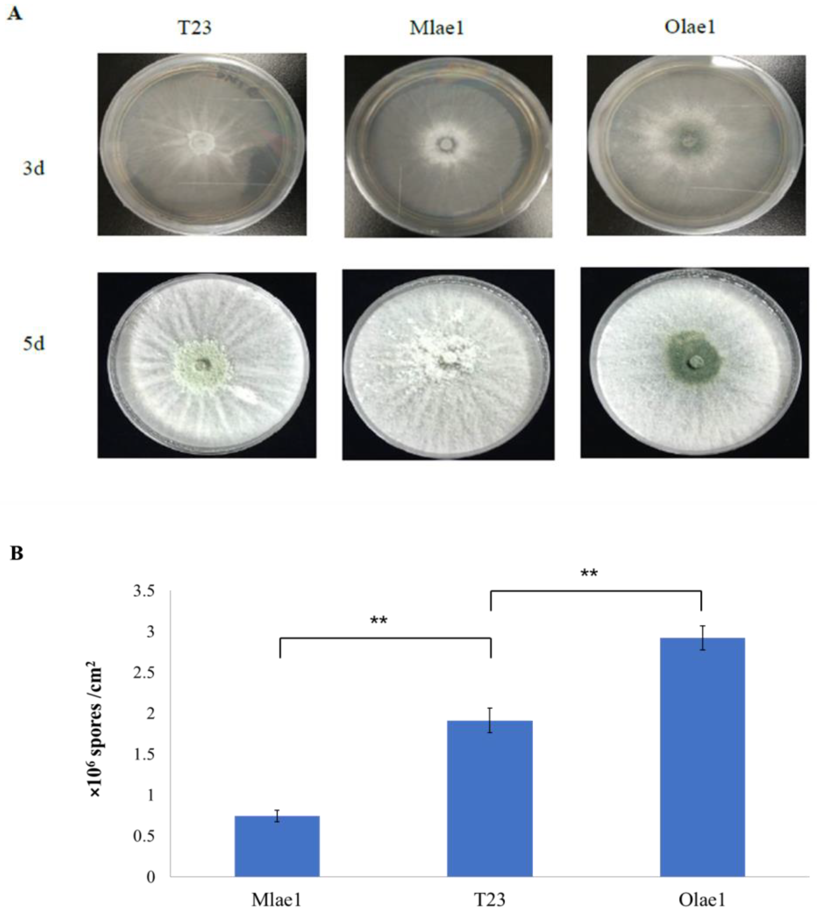 JoF | Free Full-Text | Integrated Transcriptome and Untargeted