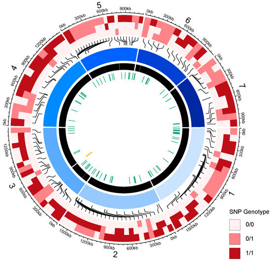 JoF | Free Full-Text | Genome Analysis of a Newly Discovered Yeast ...