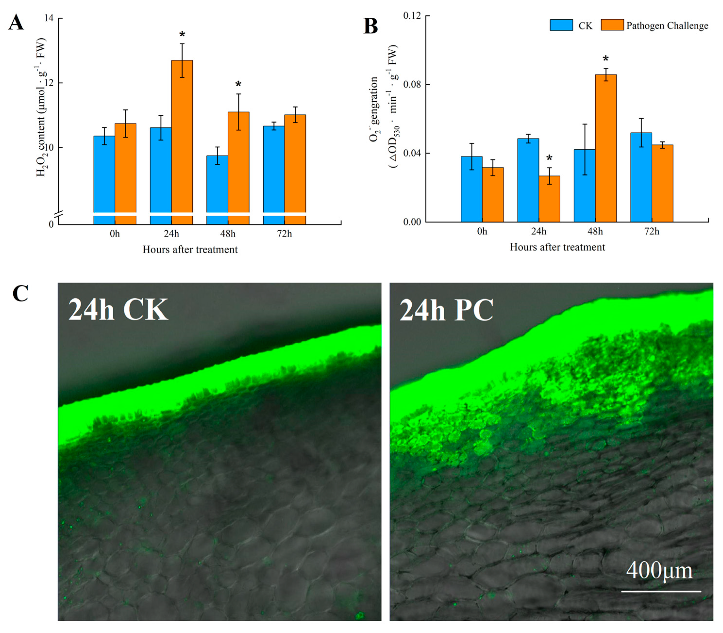 Whole-Genome DNA Methylation Analysis of Inoculation with Trichothecium ...