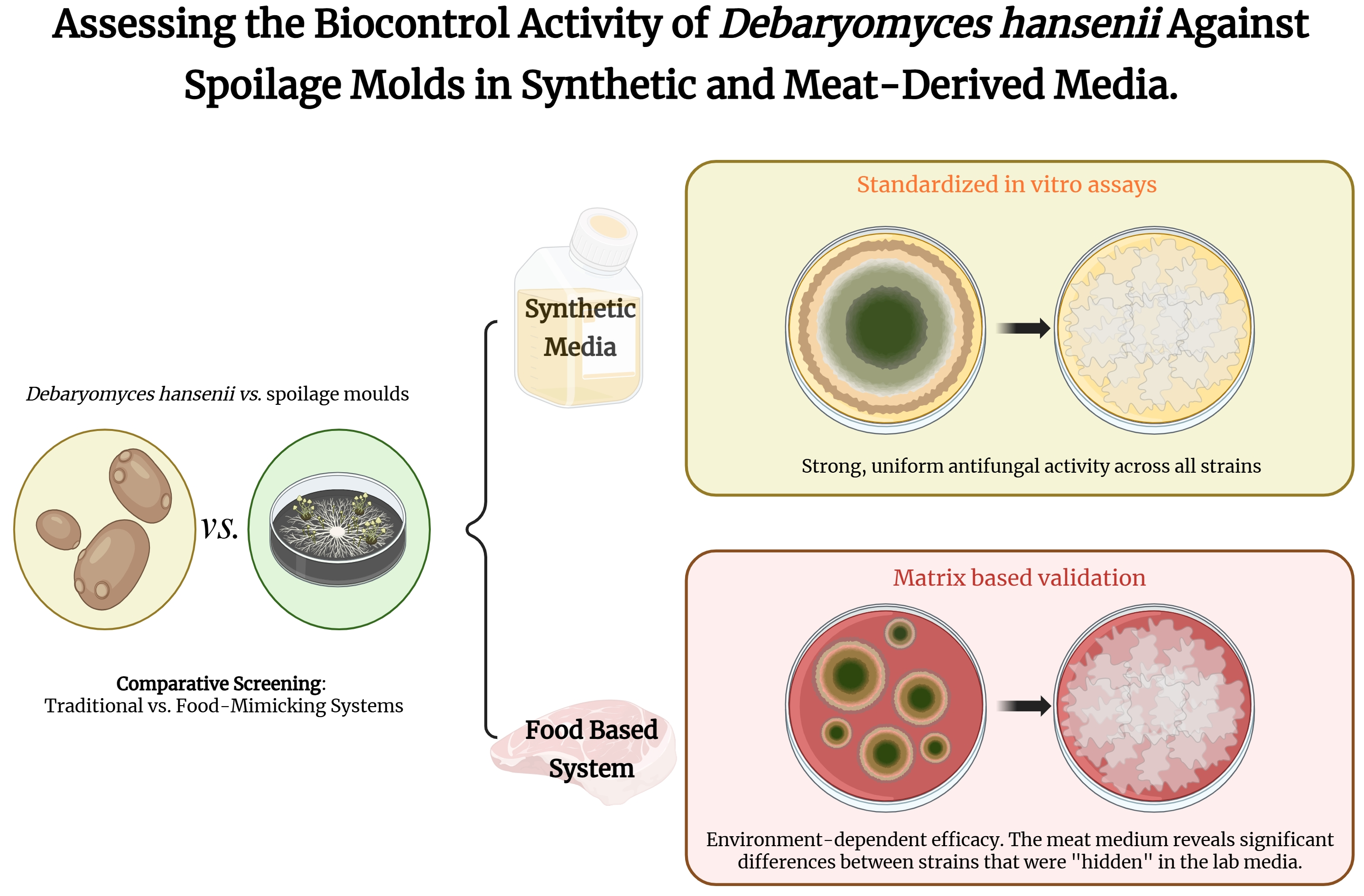 Assessing the Biocontrol Activity of Debaryomyces hansenii Against ...