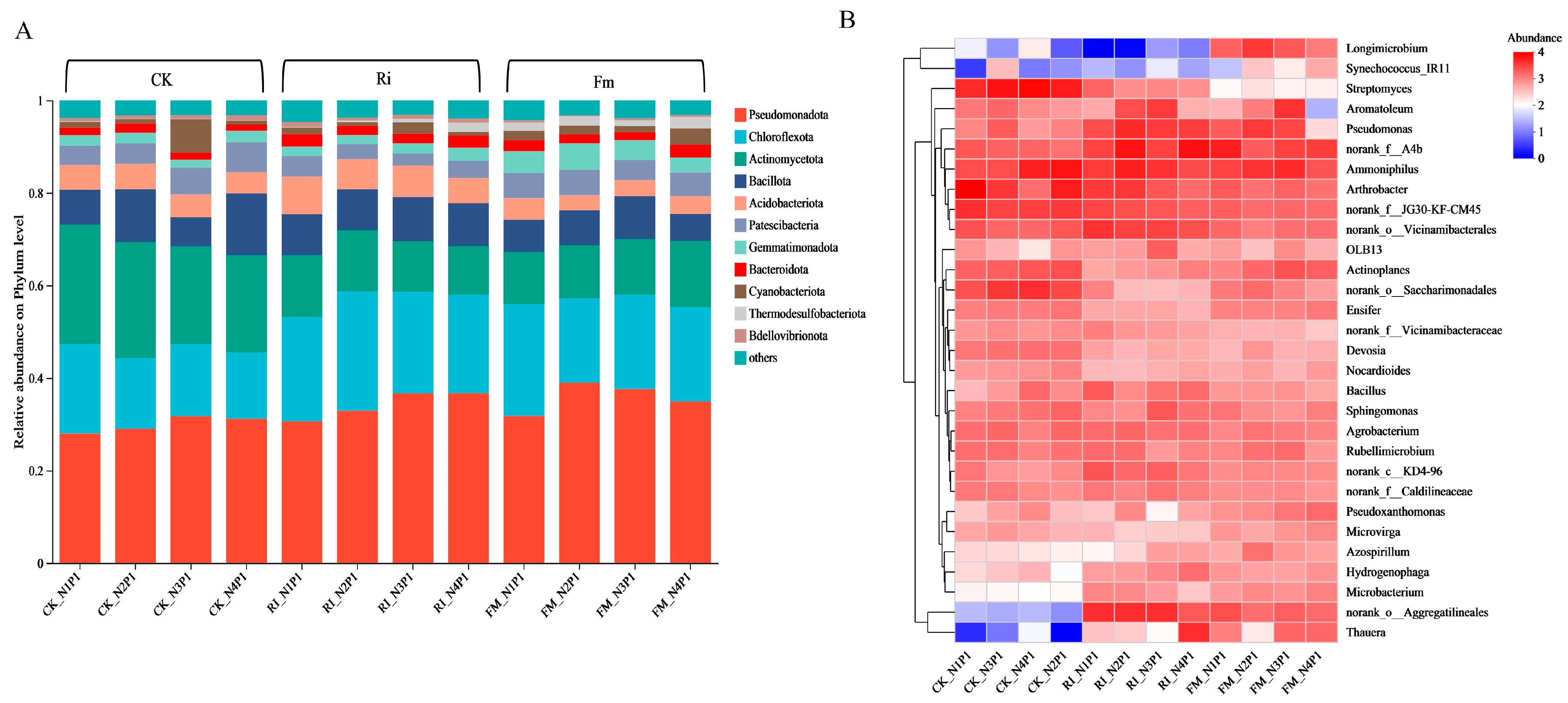 Picture Idea: Effects Of Nitrogen And Phosphorus Levels On Arbuscular Mycorrhizal