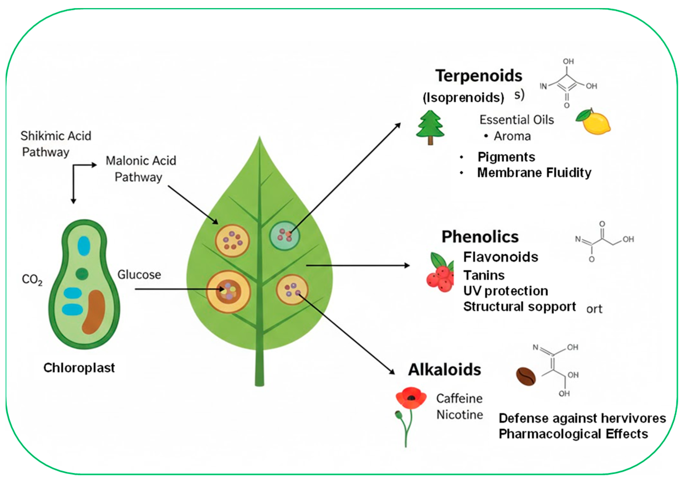 Advances in the Control of Plant Fungal Pathogens