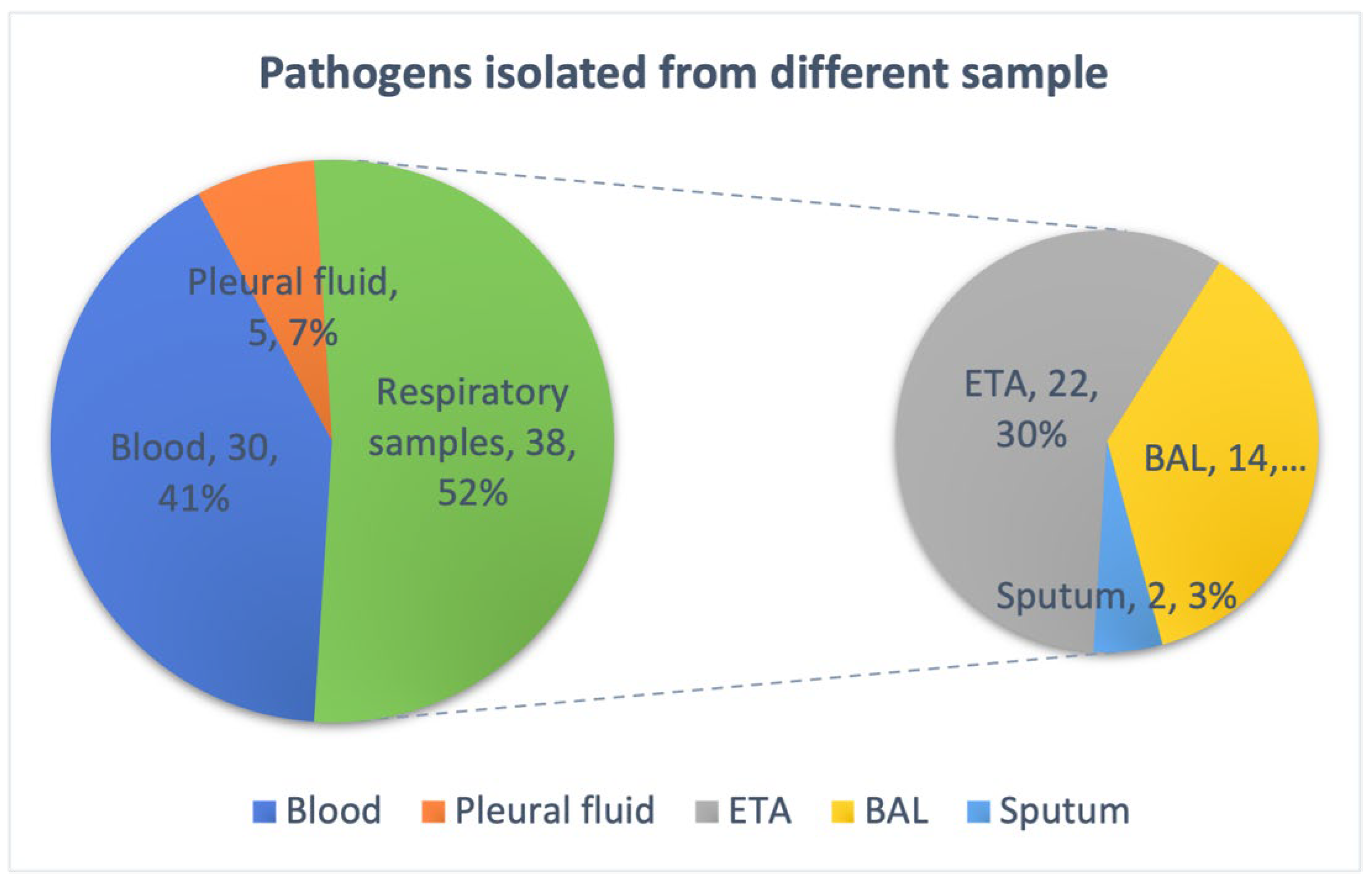 Molecular Characterization of MDR and XDR Clinical Strains from a