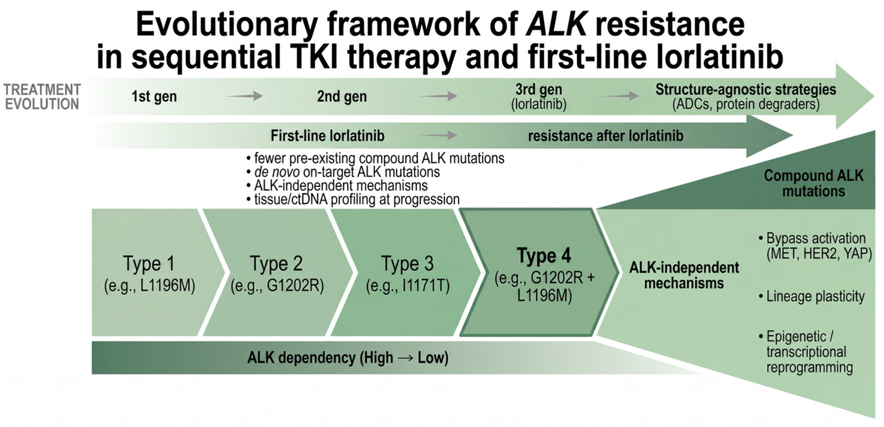 Alk Mutation R Structural and Compound ALK Resistance Mutations: A Unified Framework ...