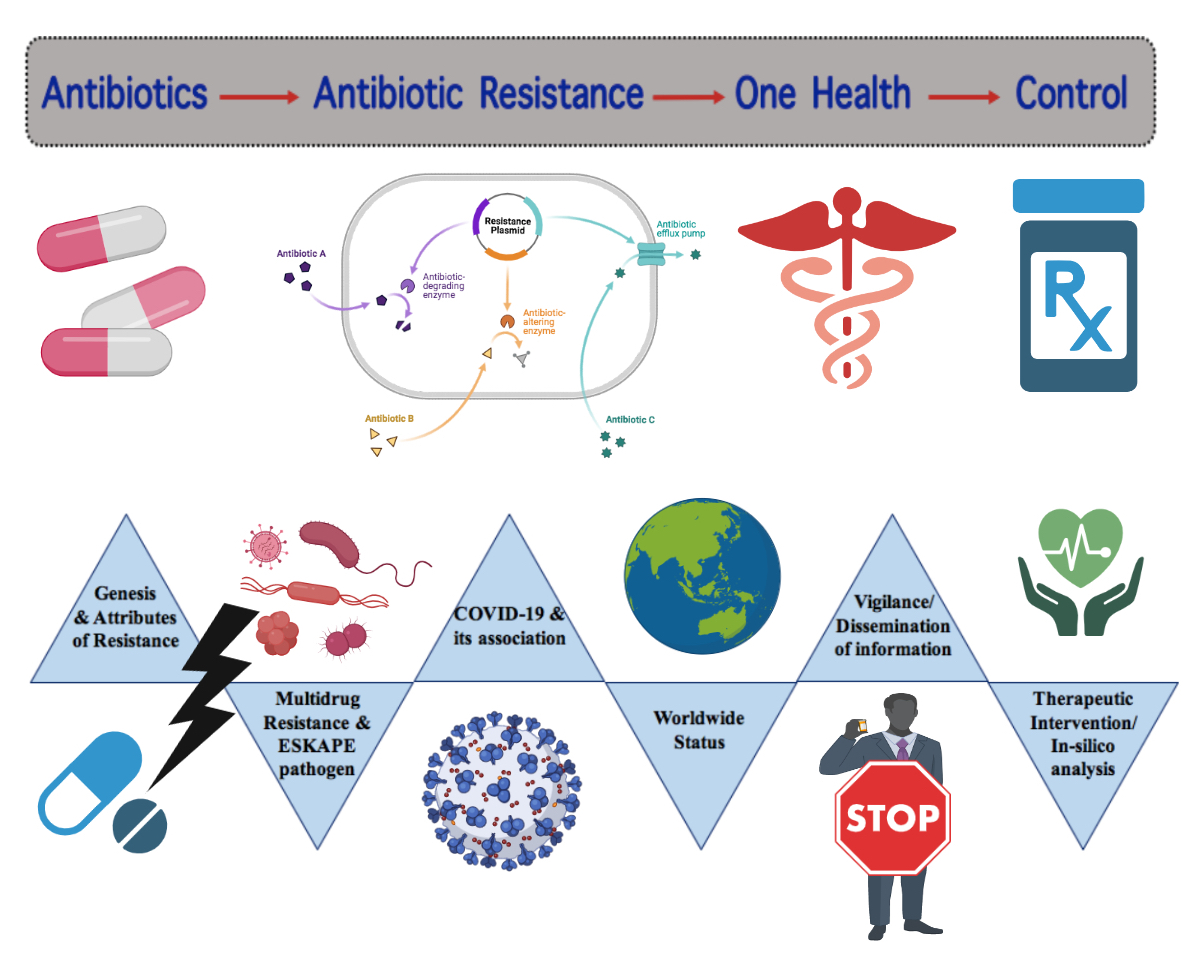 Natural Products as Platforms To Overcome Antibiotic Resistance
