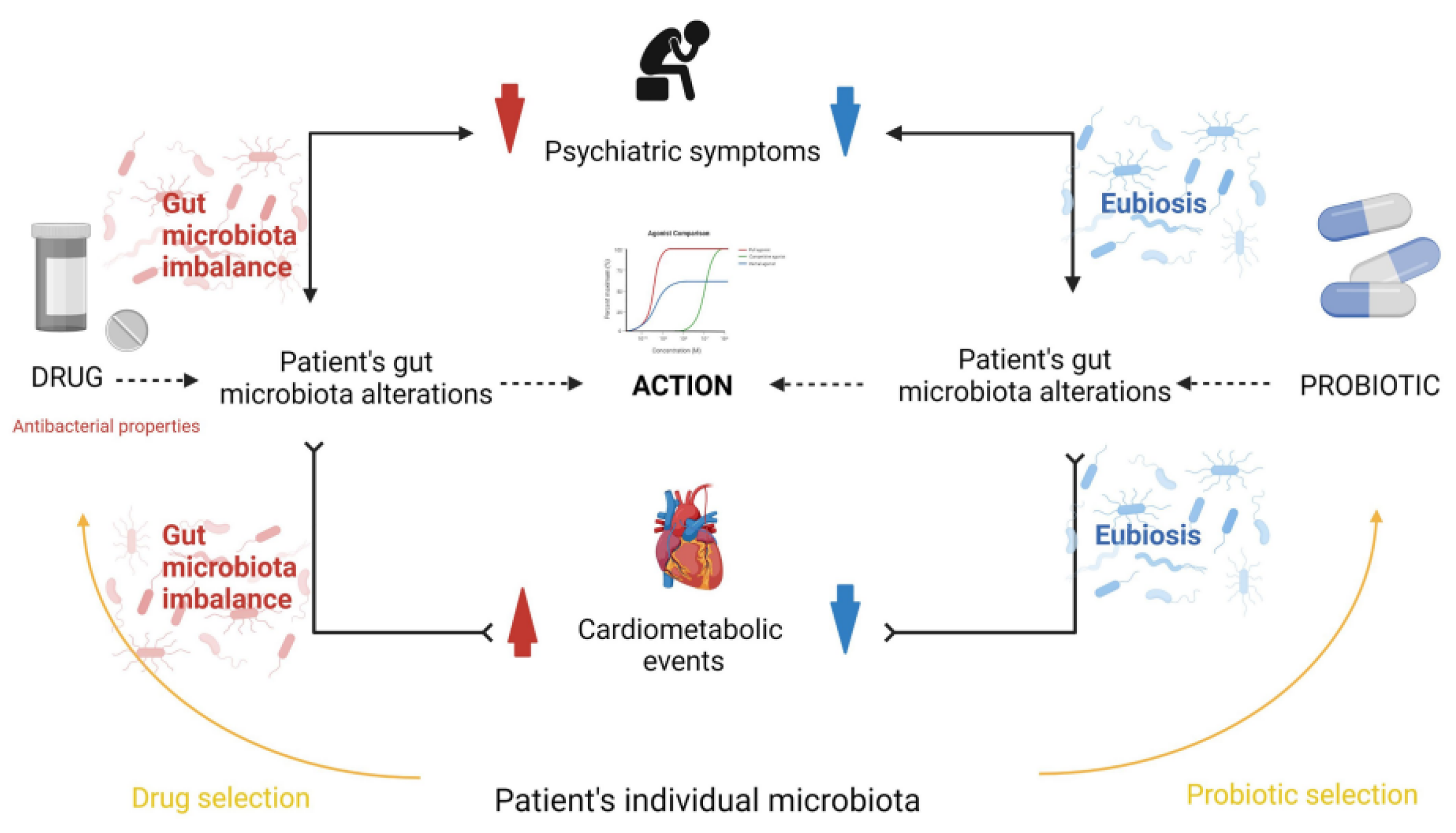 Frontiers  New Insights Into Microbiota Modulation-Based