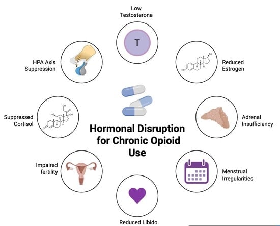 Chronic Opioid Use and Endocrine Disruption in Women: Mechanisms, Life-Course Vulnerabilities, and Reproductive Health Implications