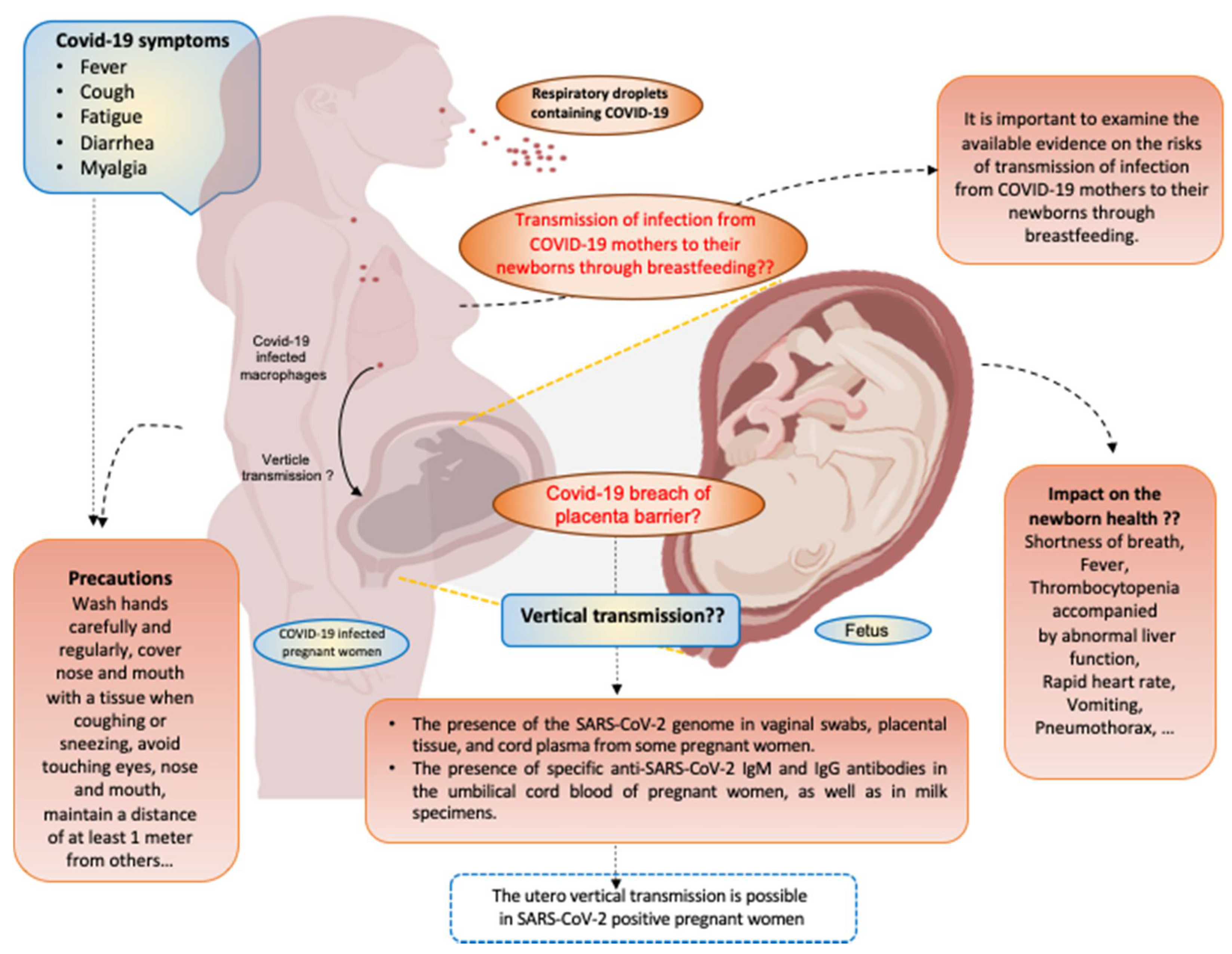 JPM Free Full-Text COVID-19 Infection during Pregnancy Risk of Vertical Transmission, Fetal, and Neonatal Outcomes picture