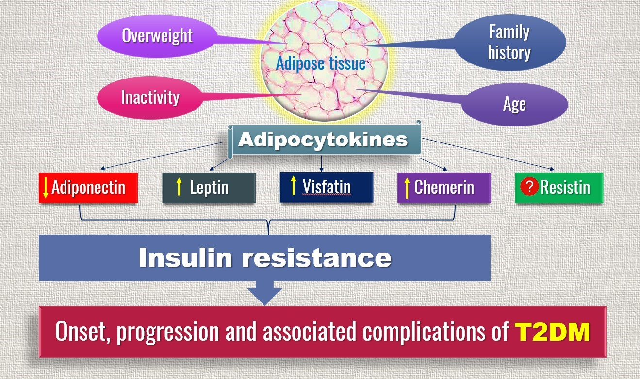 Jpm Free Full Text Differential Association Of Selected Adipocytokines Adiponectin Leptin 8351