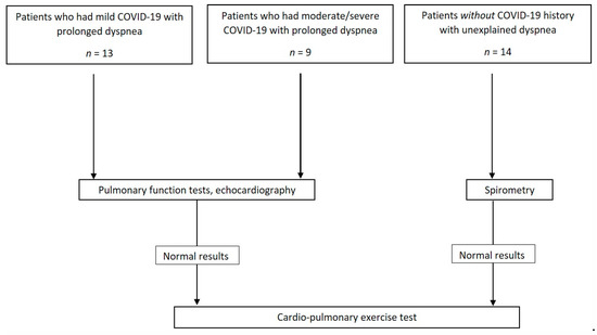 JPM | Free Full-Text | Functional Capacity in Patients Who